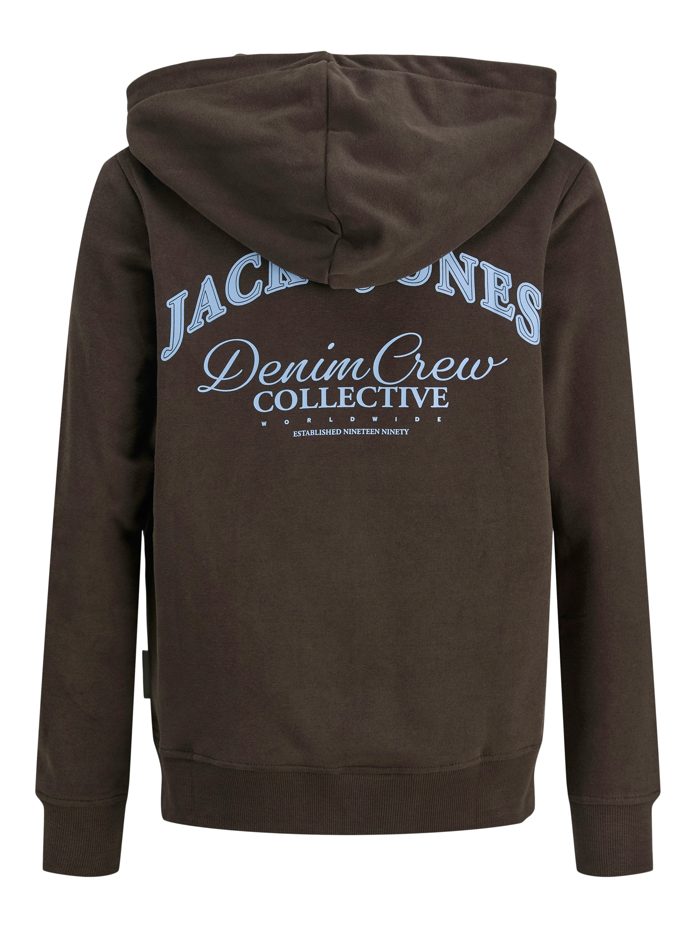 Jack & Jones Junior Kapuzensweatshirt »JJEBRANDES BACKP RELAXED SWEAT H SN JNR«