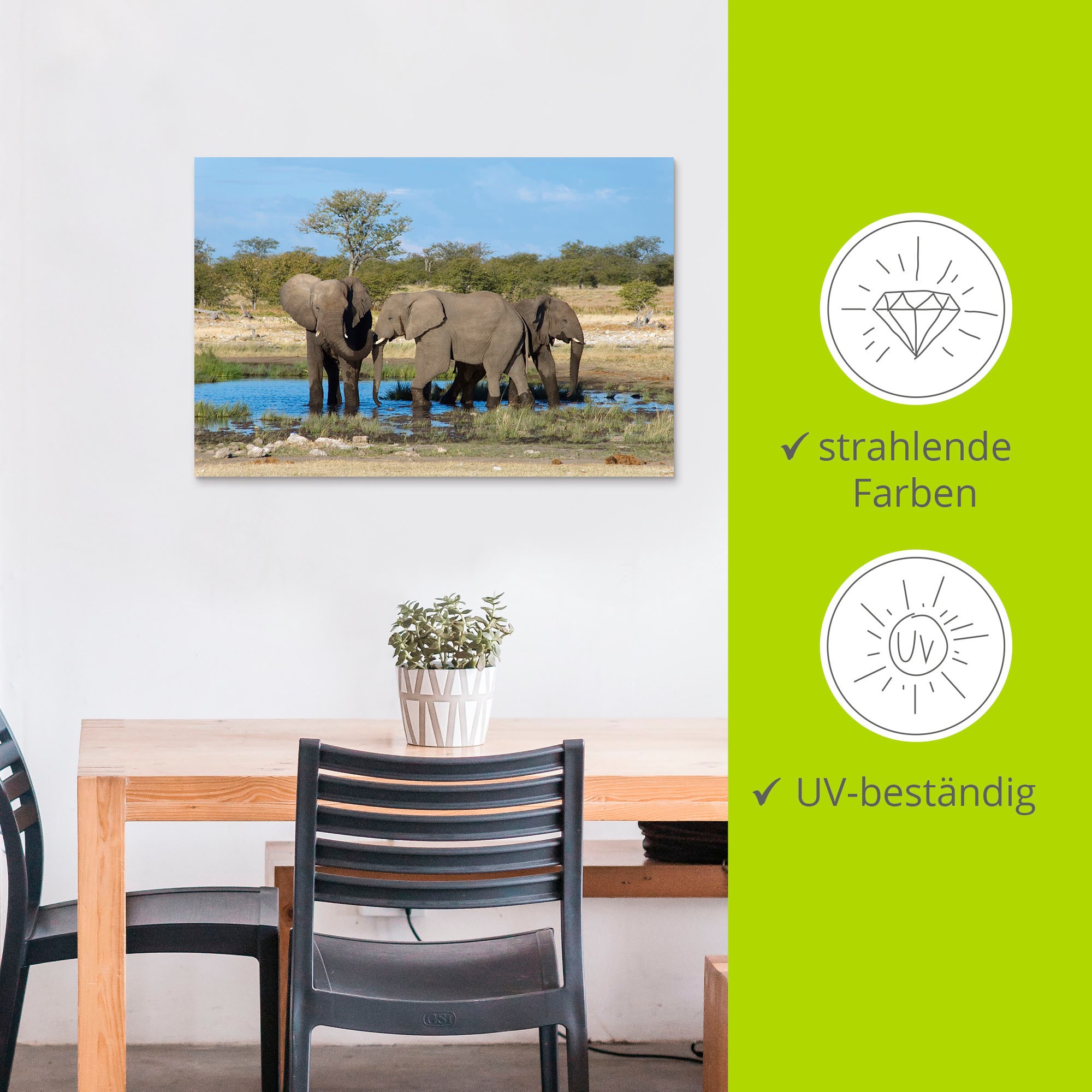 Artland Wandbild »Afrikanischer Elefant EtoshaNationalpark«, Elefanten Bilder, (1 St.), als Leinwandbild, Wandaufkleber in verschied. Größen