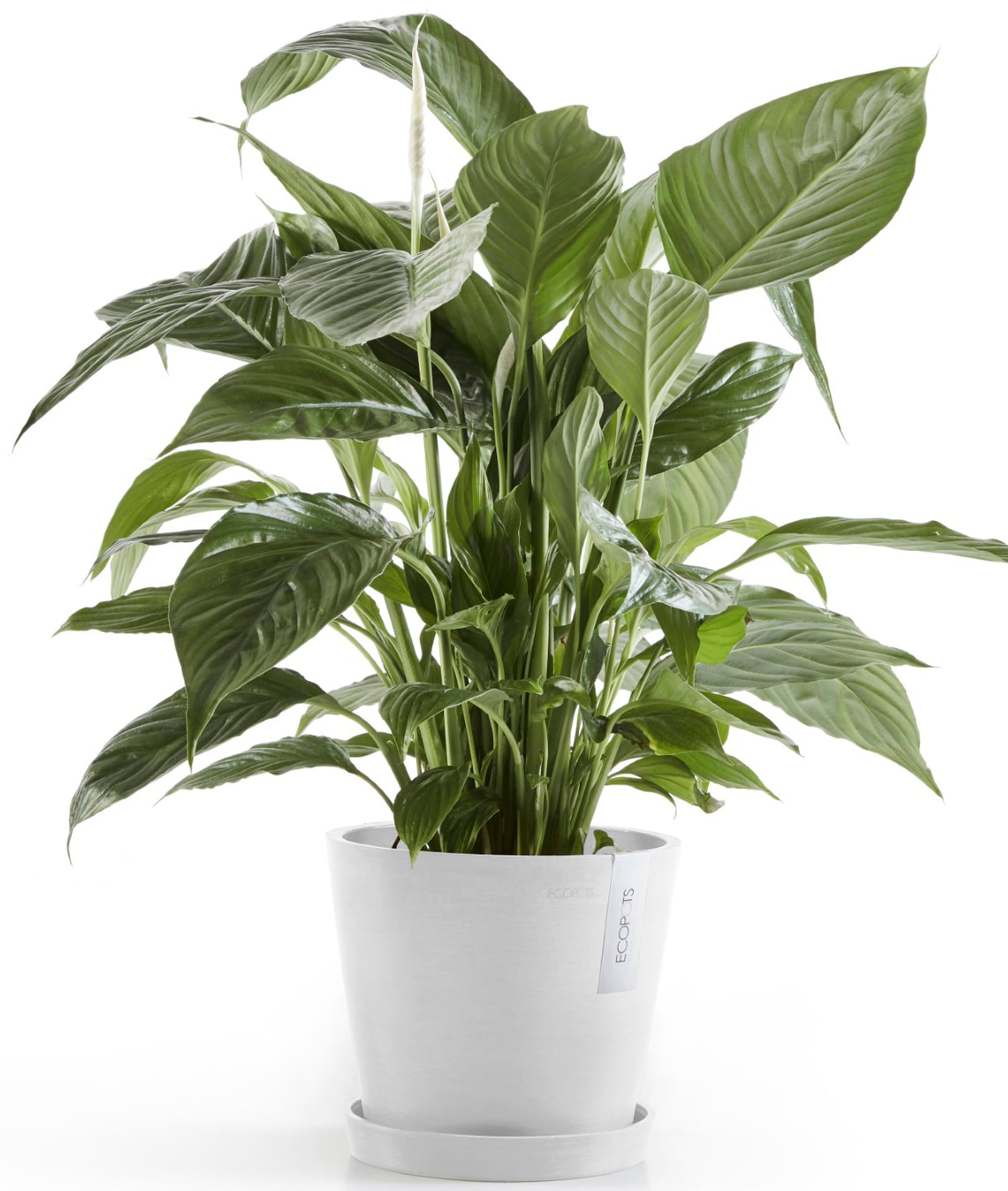 ECOPOTS Blumentopf »Amsterdam 20 + Wassersystem Weißgrau«, für innen und außen: frostsicher, bruchsicher und lichtbeständig