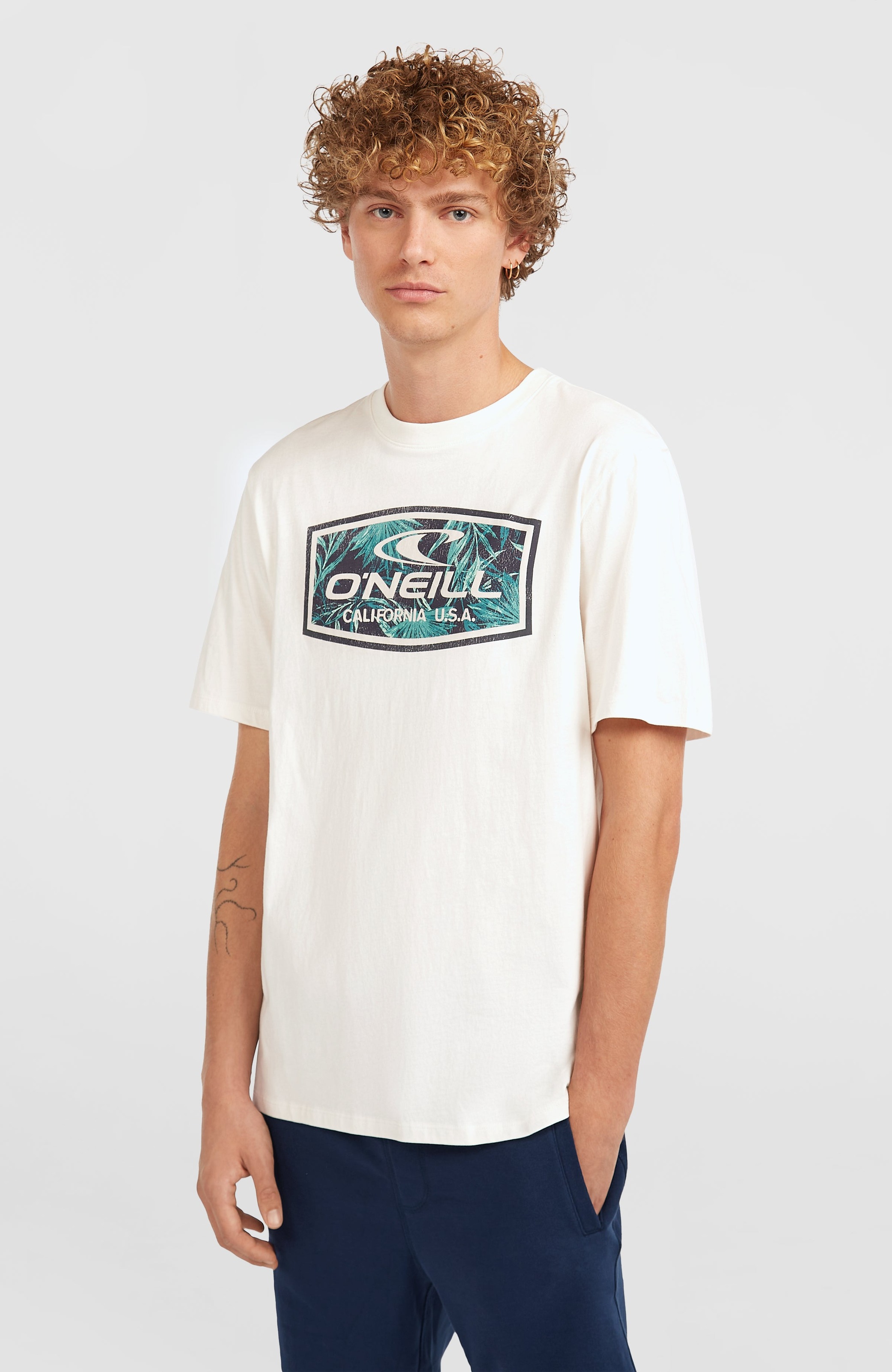 ONeill T-Shirt "ONEILL GRAPHIC T-SHIRT" günstig online kaufen