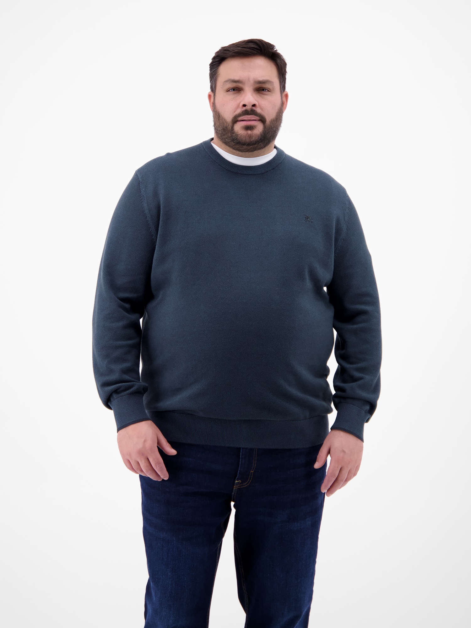 LERROS Strickpullover »Leichter Herren Strickpullover«