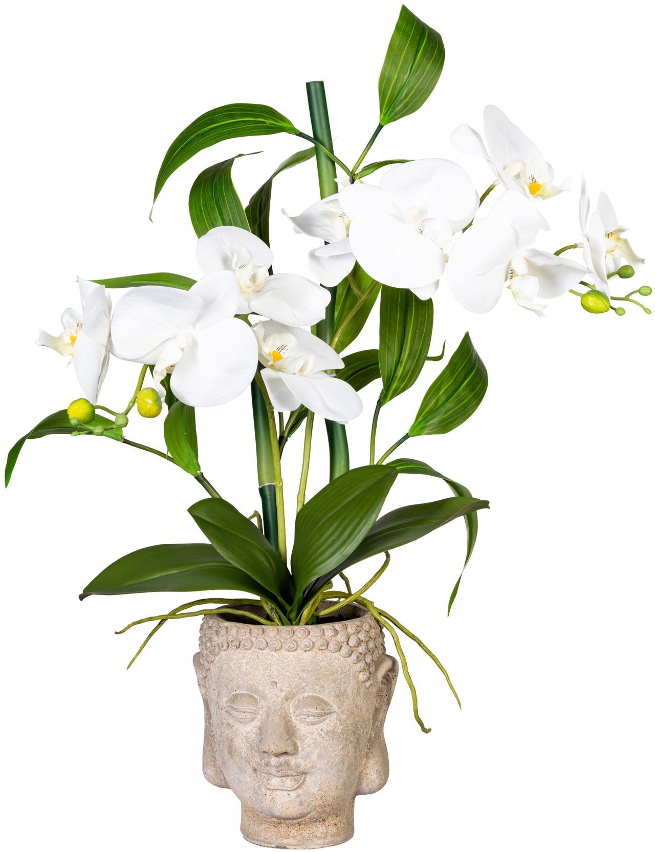 Creativ green Kunstorchidee »Orchideen-Bambus-Arrangement im Buddhakopf«