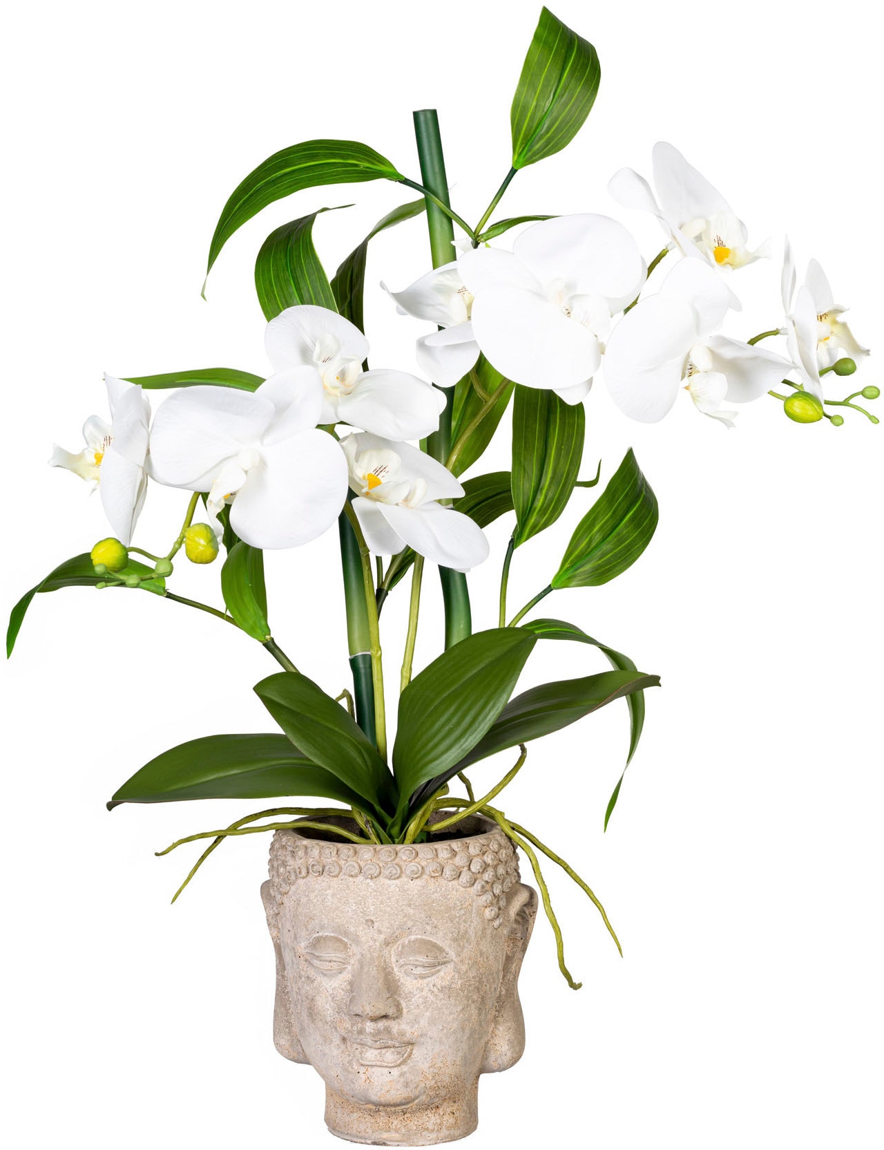 Creativ green Kunstorchidee "Orchideen-Bambus-Arrangement im Buddhakopf"