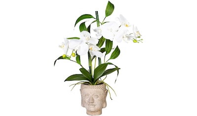 Kunstorchidee »Orchideen-Bambus-Arrangement im Buddhakopf«