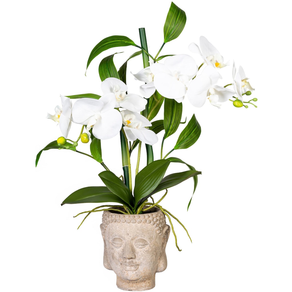 Creativ green Kunstorchidee »Orchideen-Bambus-Arrangement im Buddhakopf«