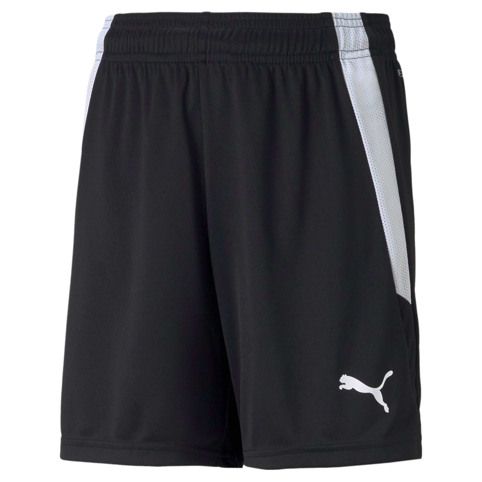 PUMA Trainingsshorts "TEAMLIGA SHORTS JR"