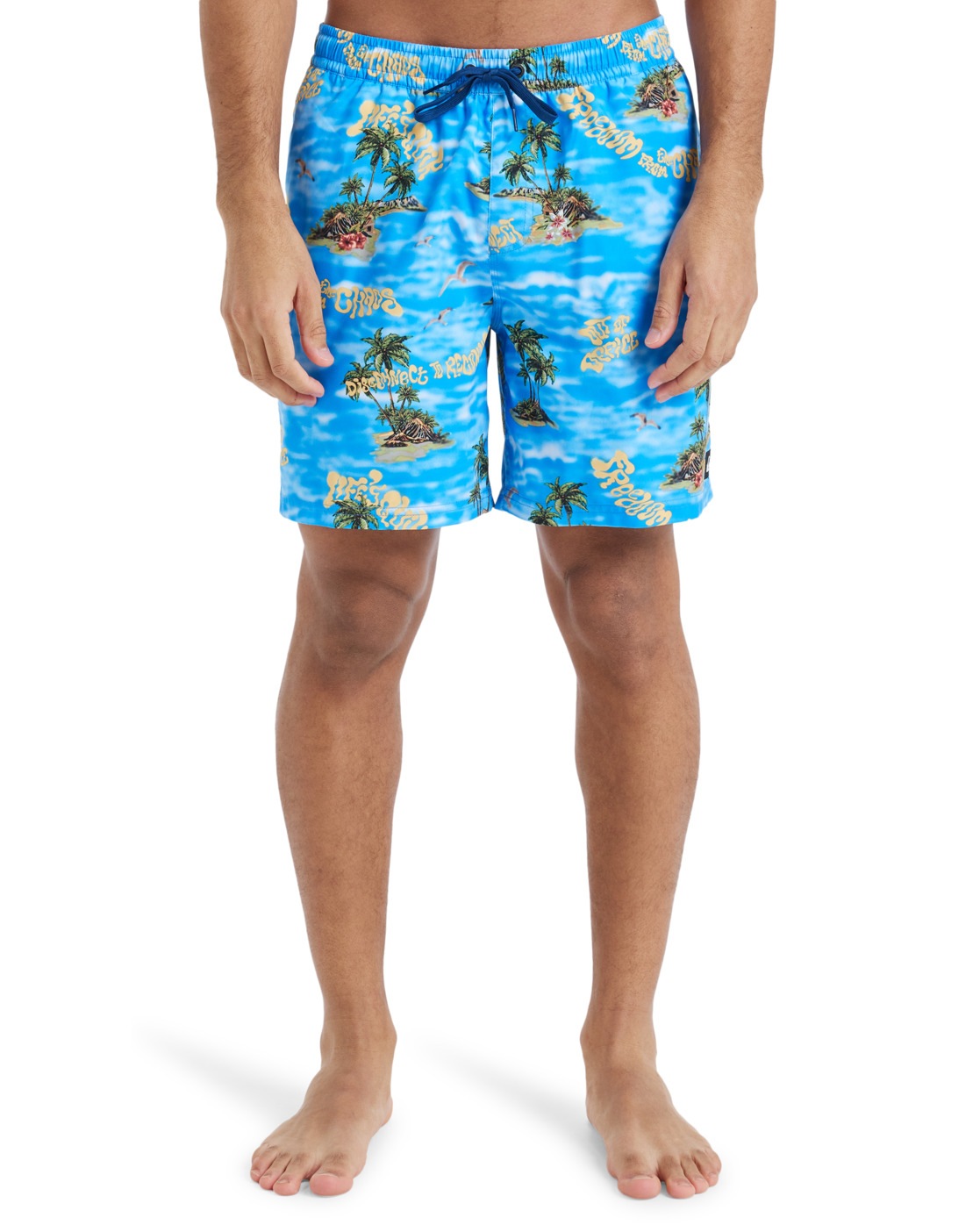 Quiksilver Boardshorts "Everyday Straight Volley 17"" günstig online kaufen