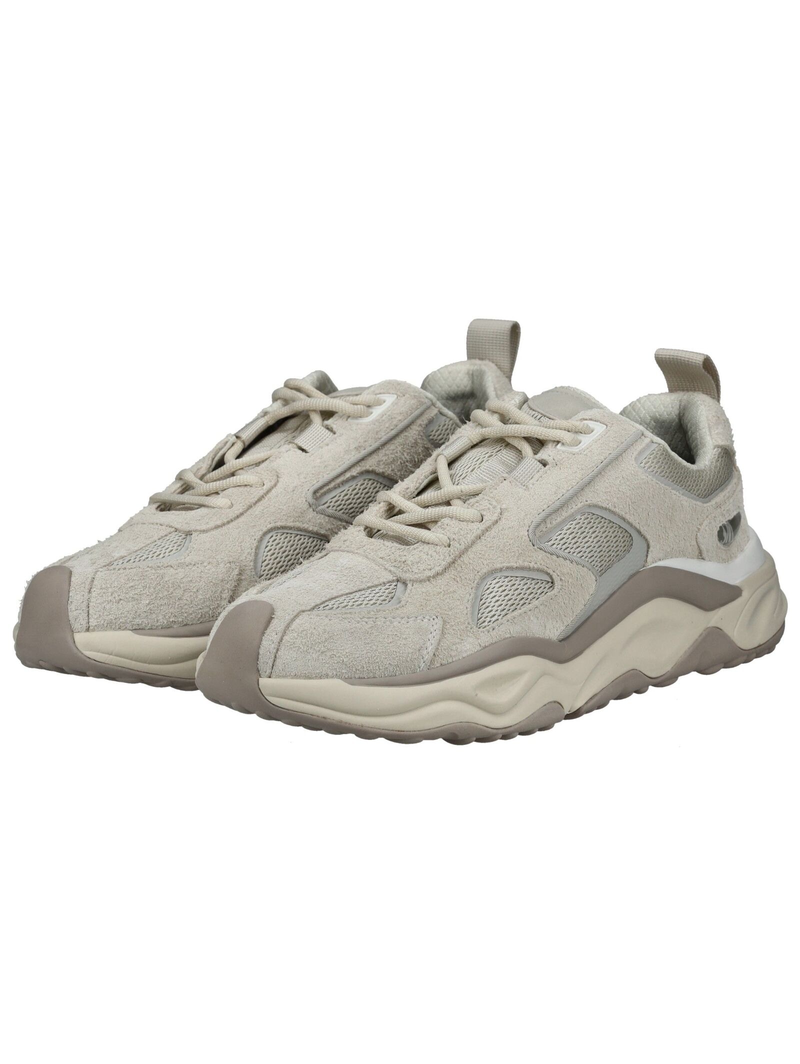 STEVE MADDEN Sneaker »STEVE MADDEN Sneaker Leder«