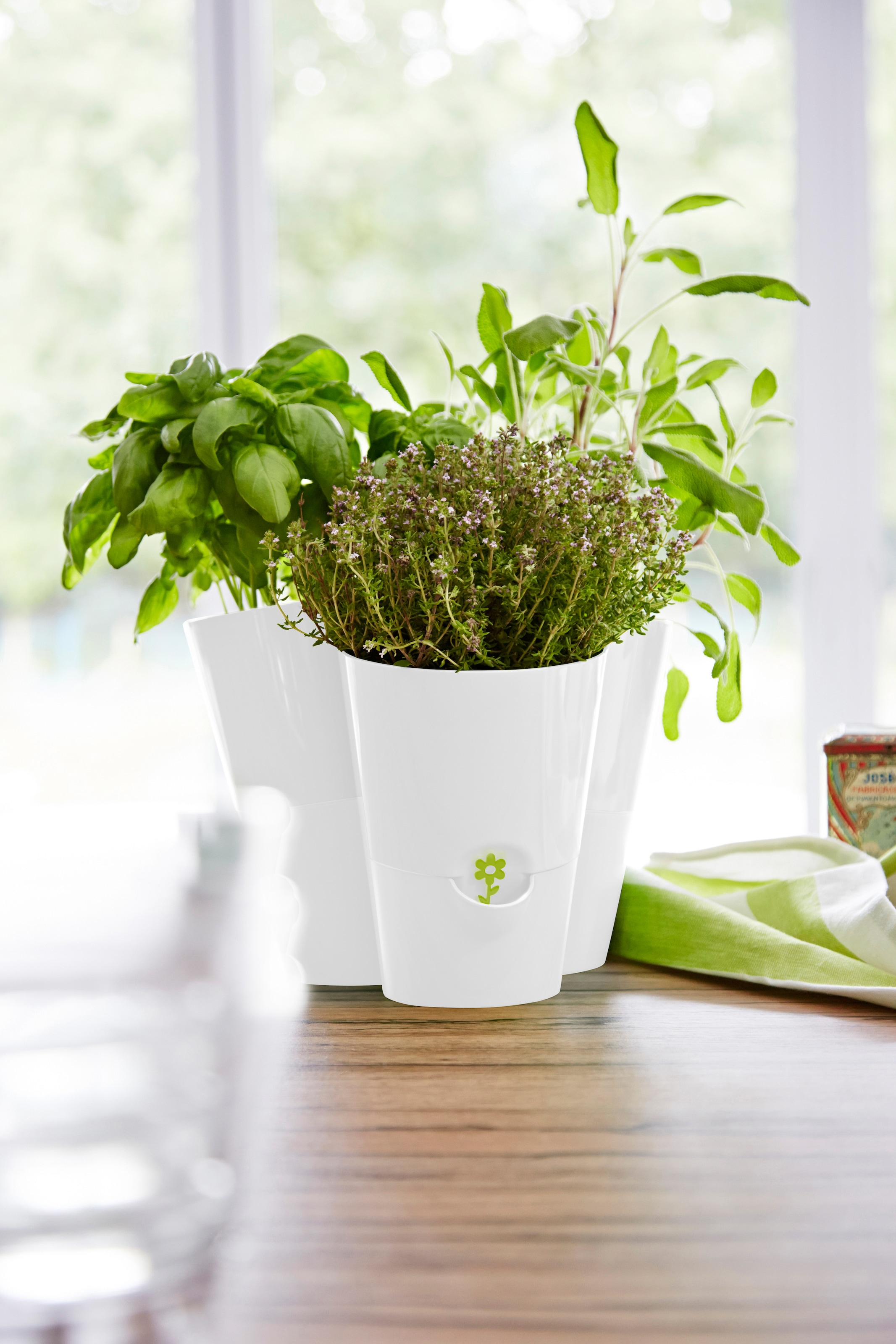 Poétic Blumenkasten »FRESH HERBS Trio«, BxTxH: 27x25x21 cm, Kräutertopf  kaufen | BAUR | Blumenkästen