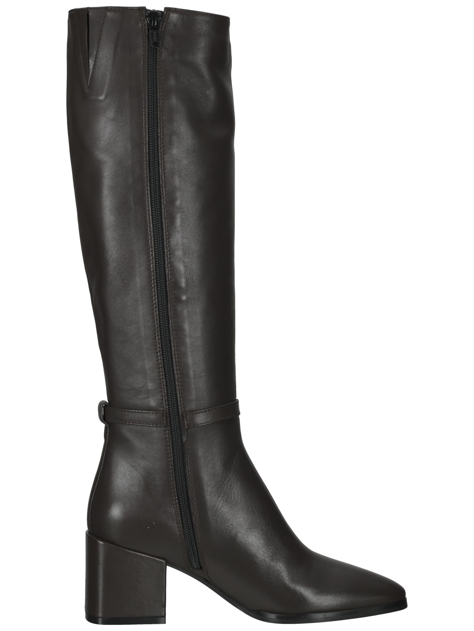 Scapa Stiefel »scapa Stiefel Leder«