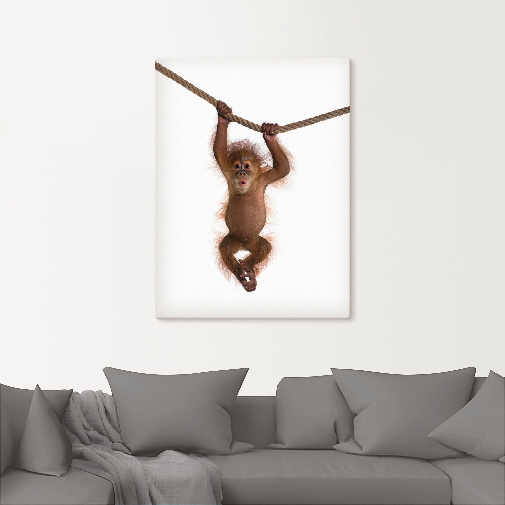 Artland Leinwandbild "Baby Orang Utan hängt an Seil II" Wildtiere 1 Stk. tl günstig online kaufen