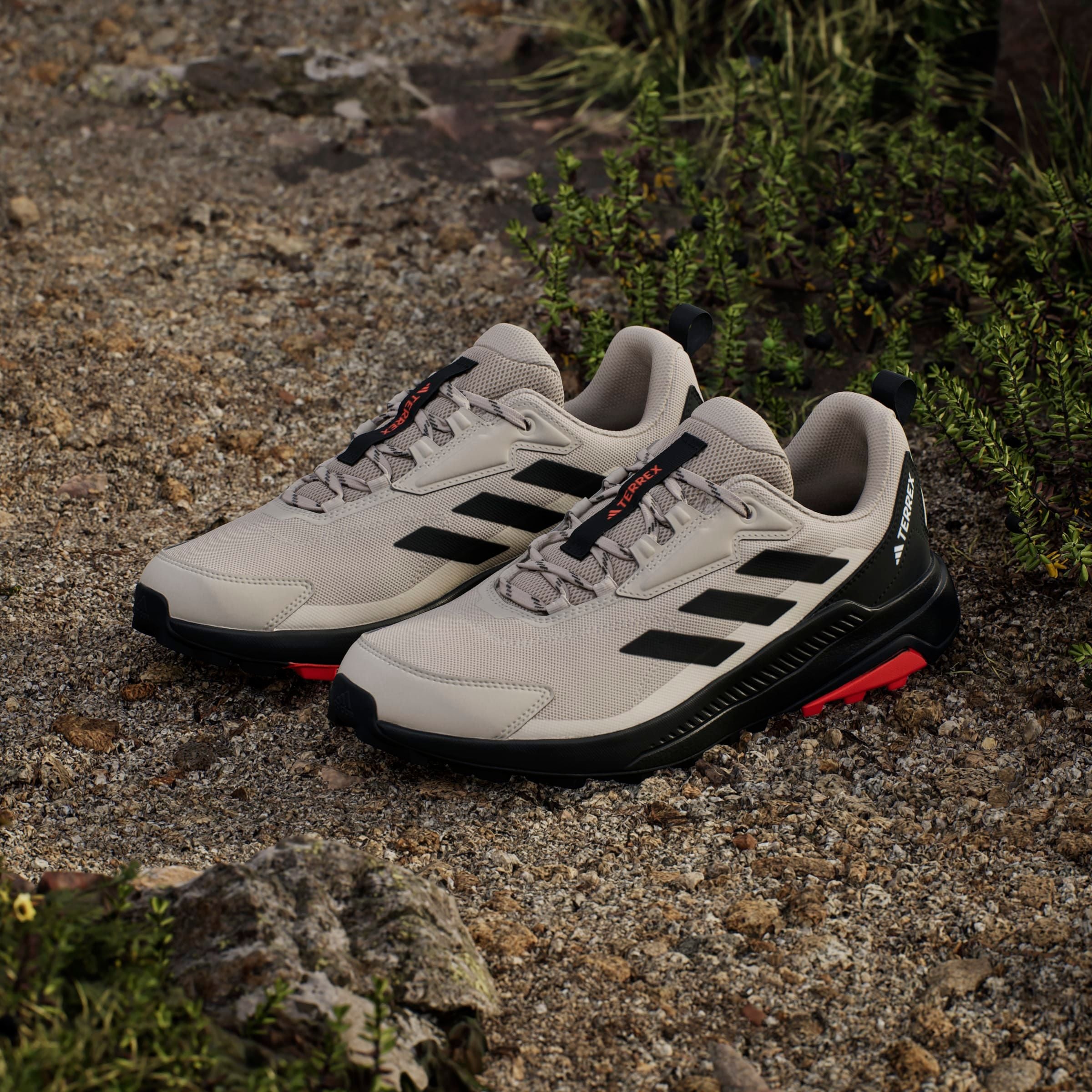 adidas TERREX Wanderschuh »TERREX ANYLANDER«
