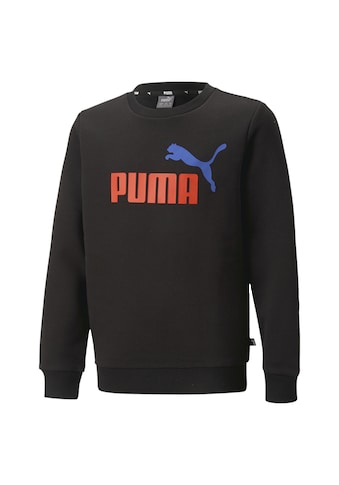 PUMA Sportinio stiliaus megztinis »Essentia...