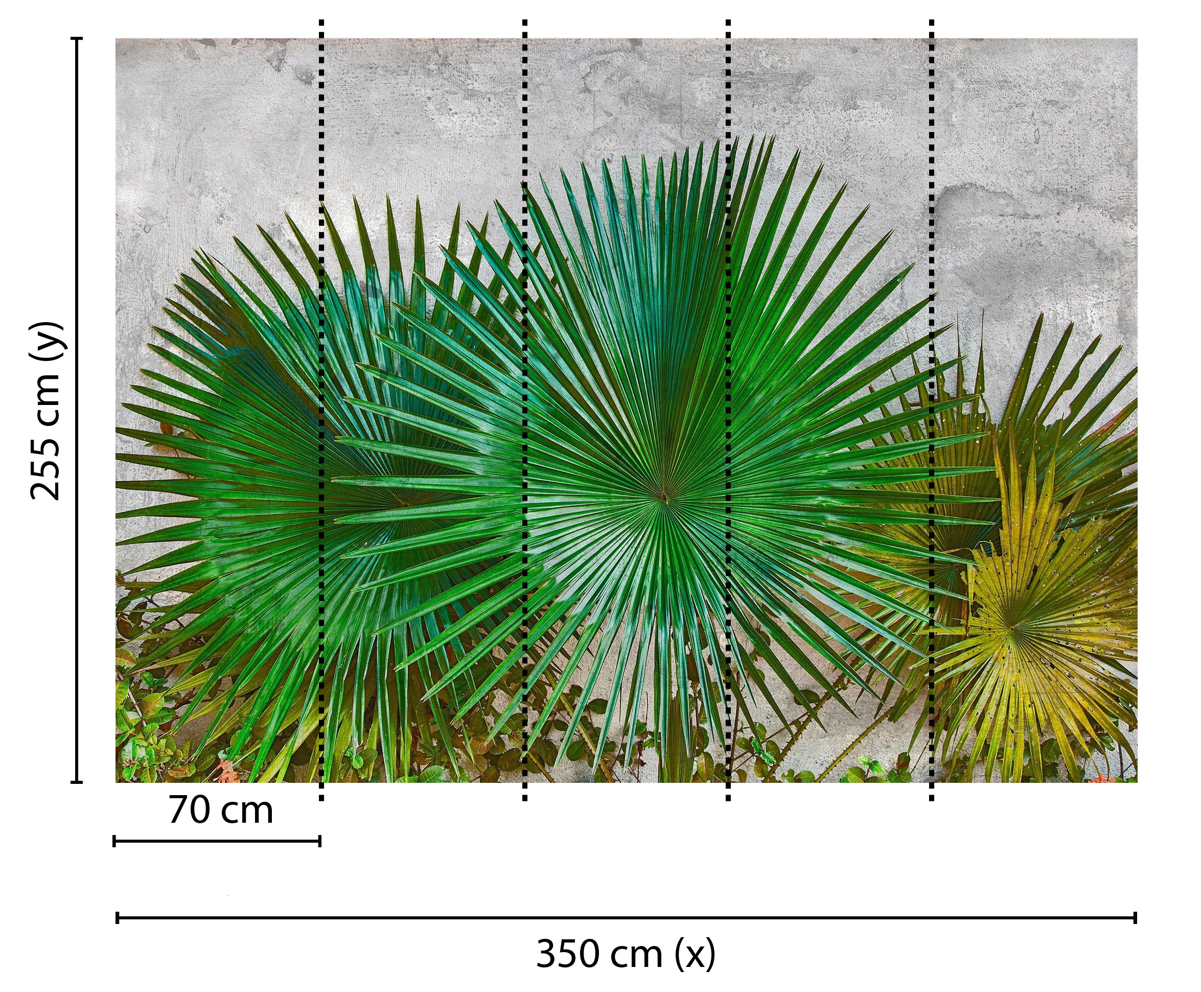 living walls Fototapete »Designwalls Agave Leaves«, Vlies, Wand, Schräge, Decke