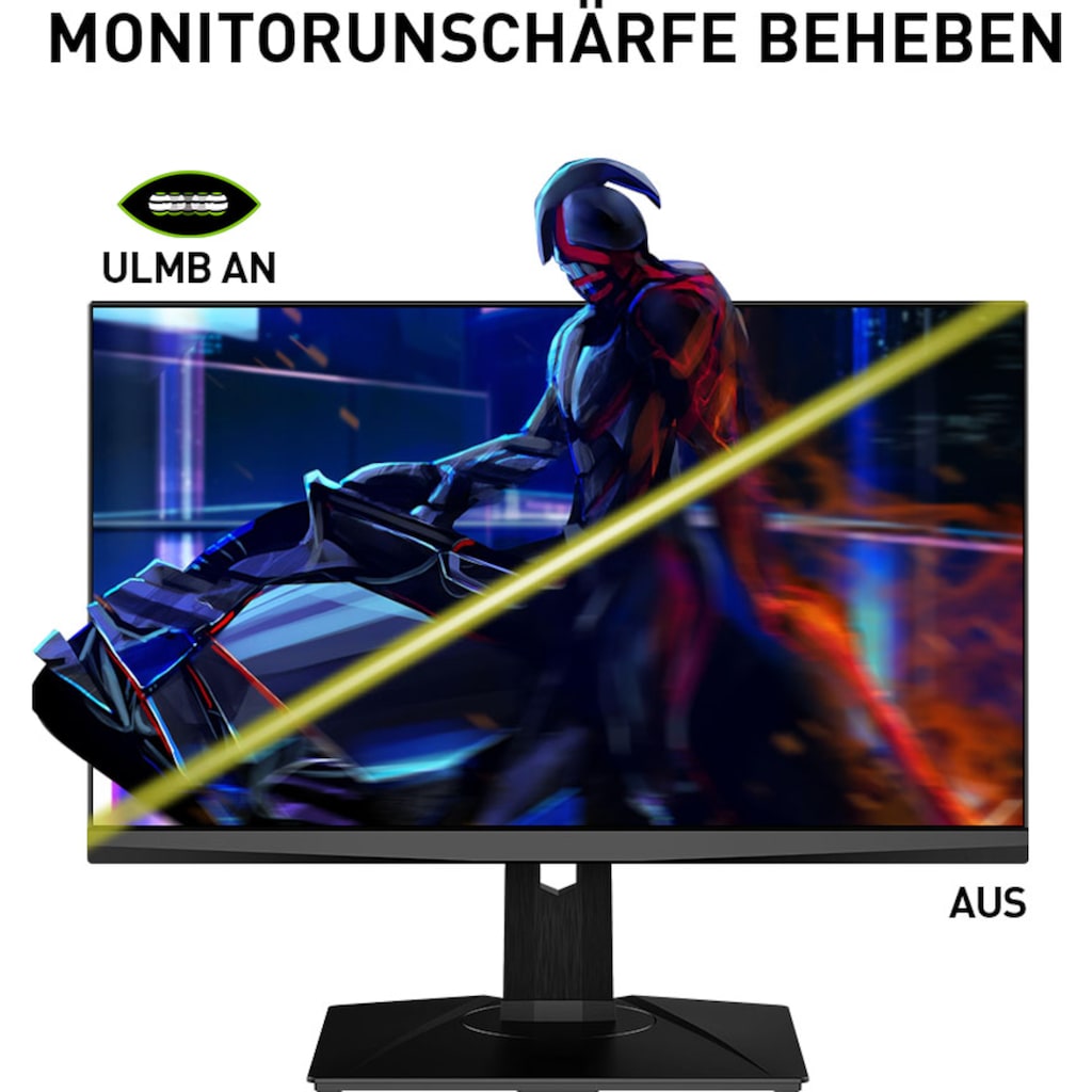 MSI Gaming-LED-Monitor »Oculux NXG253R E-Sports«, 62,2 cm/25 Zoll, 1920 x 1080 px, Full HD, 1 ms Reaktionszeit, 360 Hz