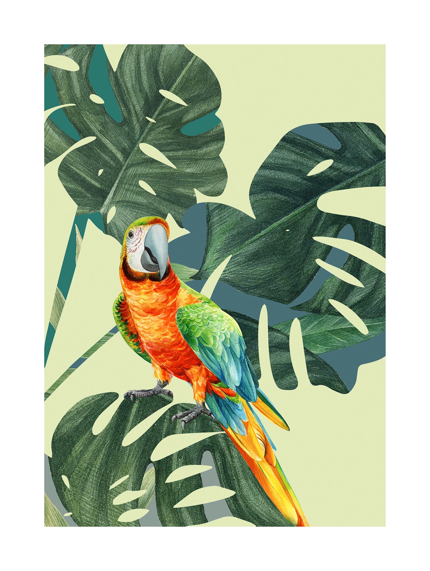 Komar Bild "Green-Winged Macaw" Natur 1 Stk. tlg. Wandbild zur Dekoration - günstig online kaufen