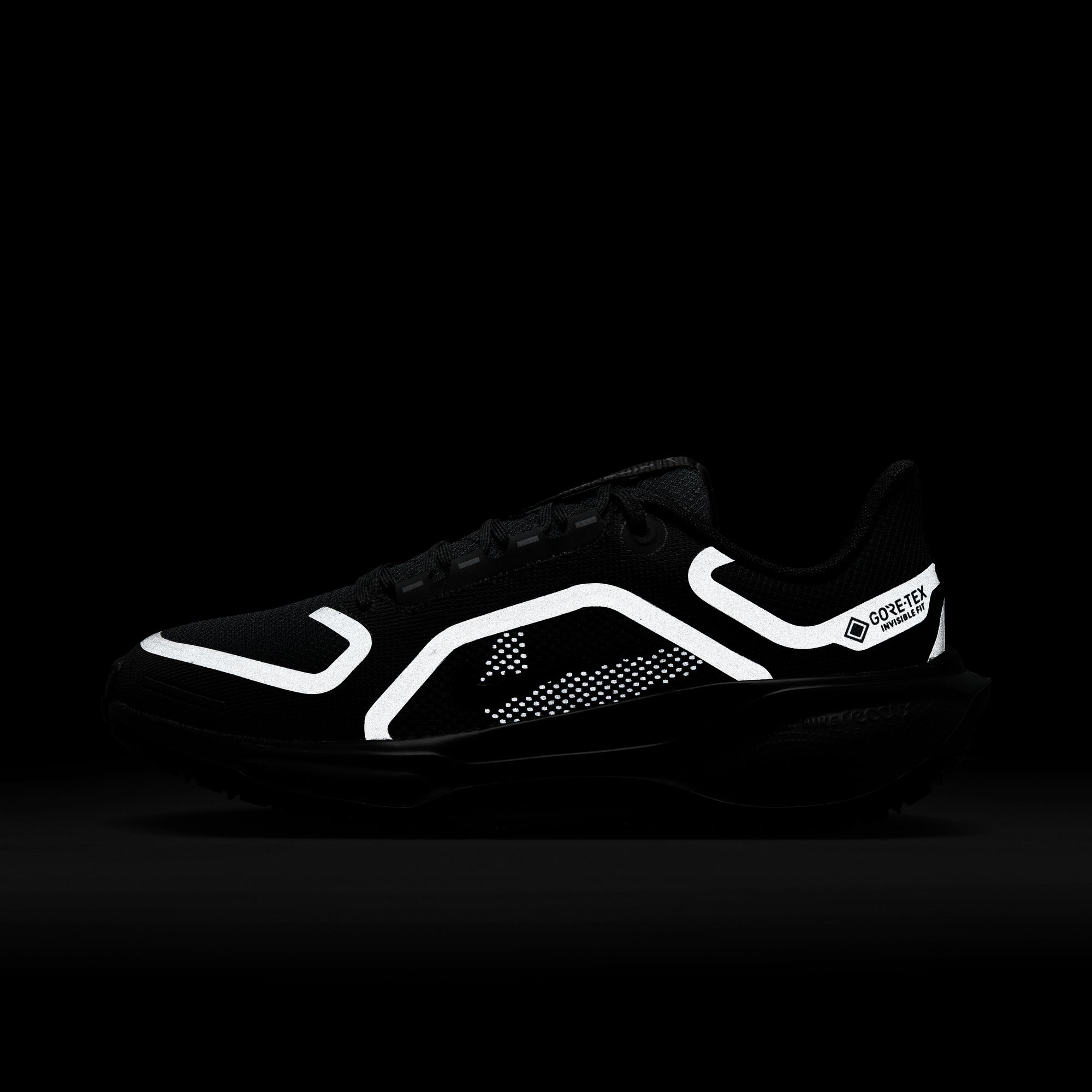 Nike Laufschuh »W AIR ZM PEGASUS 41 GTX«