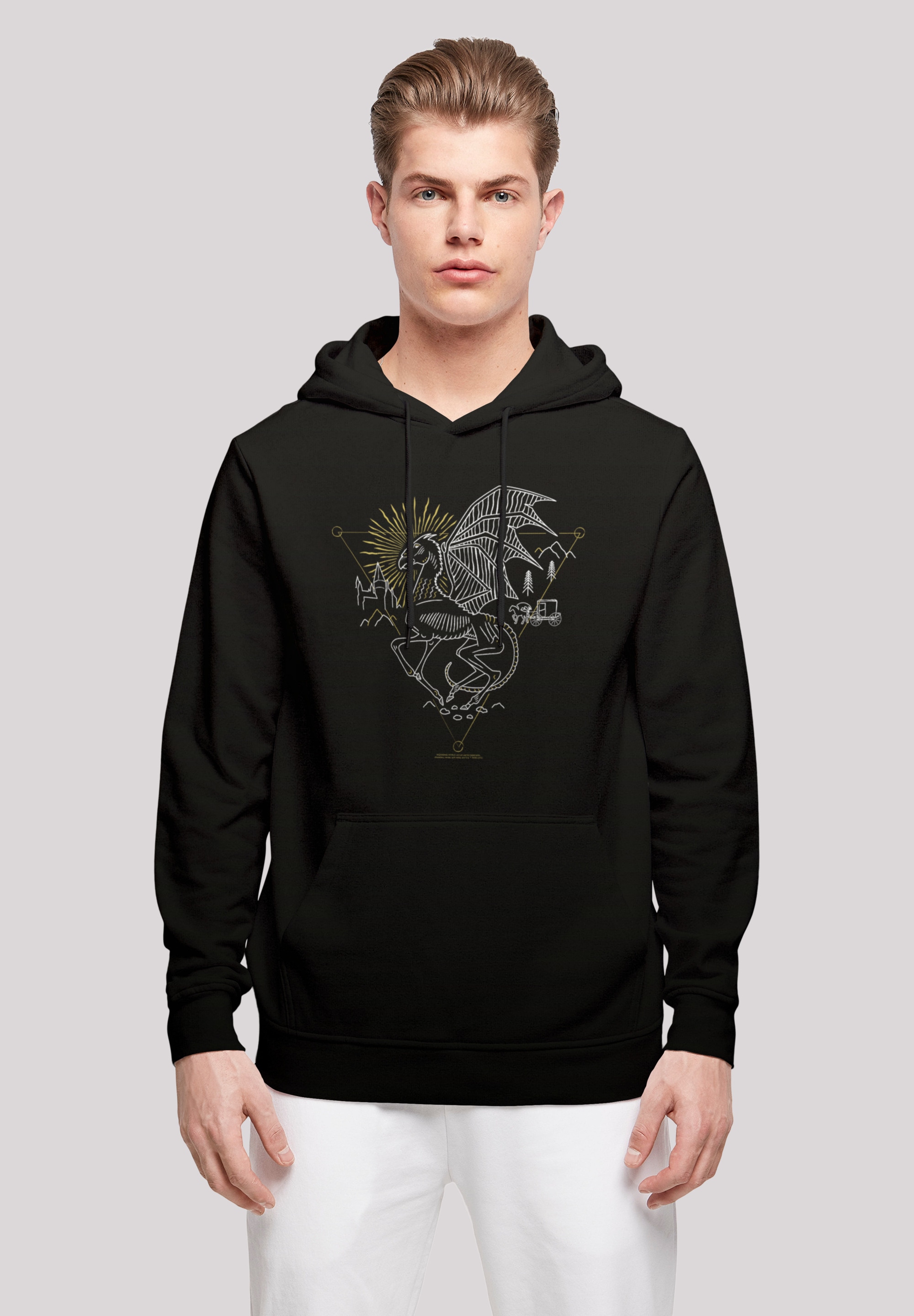 Kapuzenpullover »Harry Potter Thestral Line Art«, Print