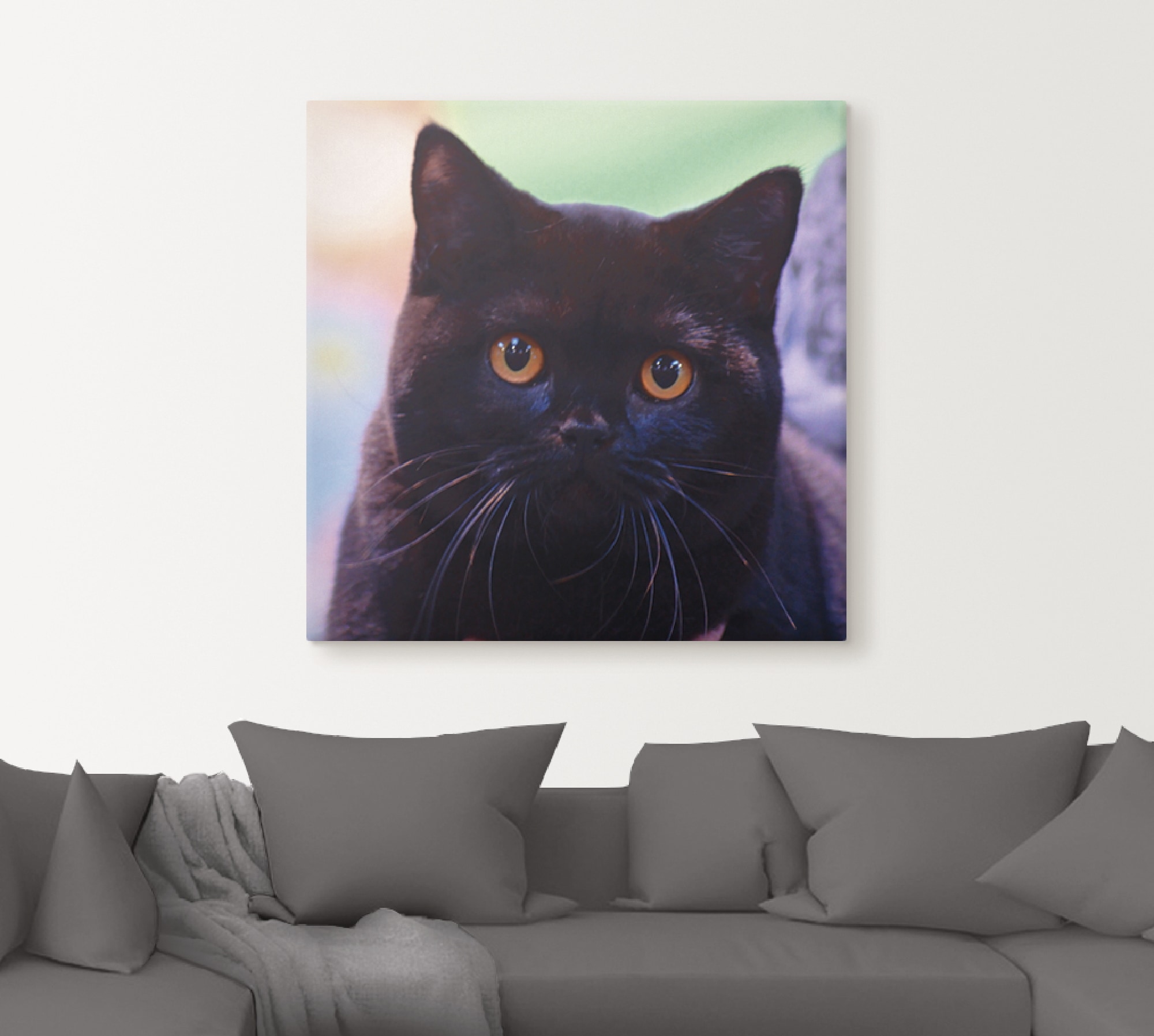 Artland Wandbild »Schwarze Britisch Kurzhaarkatze«, Haustiere, (1 St.), als Poster in verschied. Größen