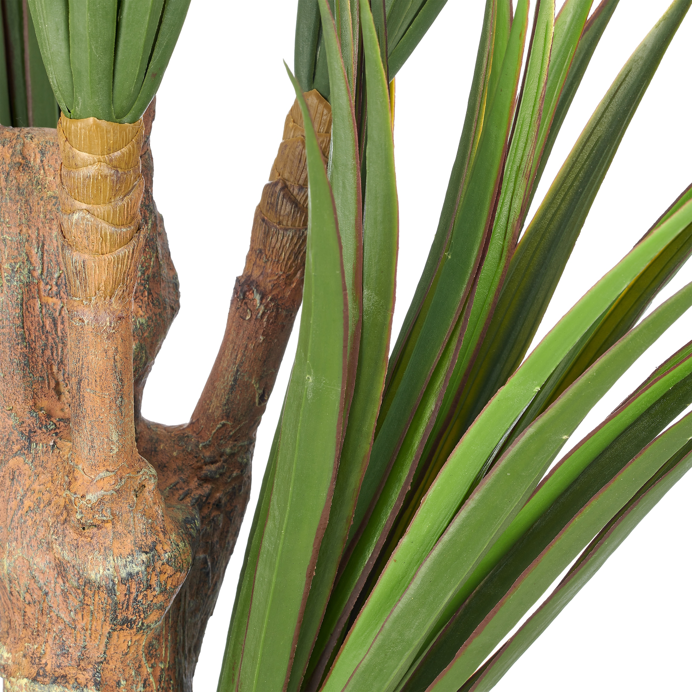 Creativ green Kunstpflanze »Dracaena« mit naturgetreuem Blattwerk