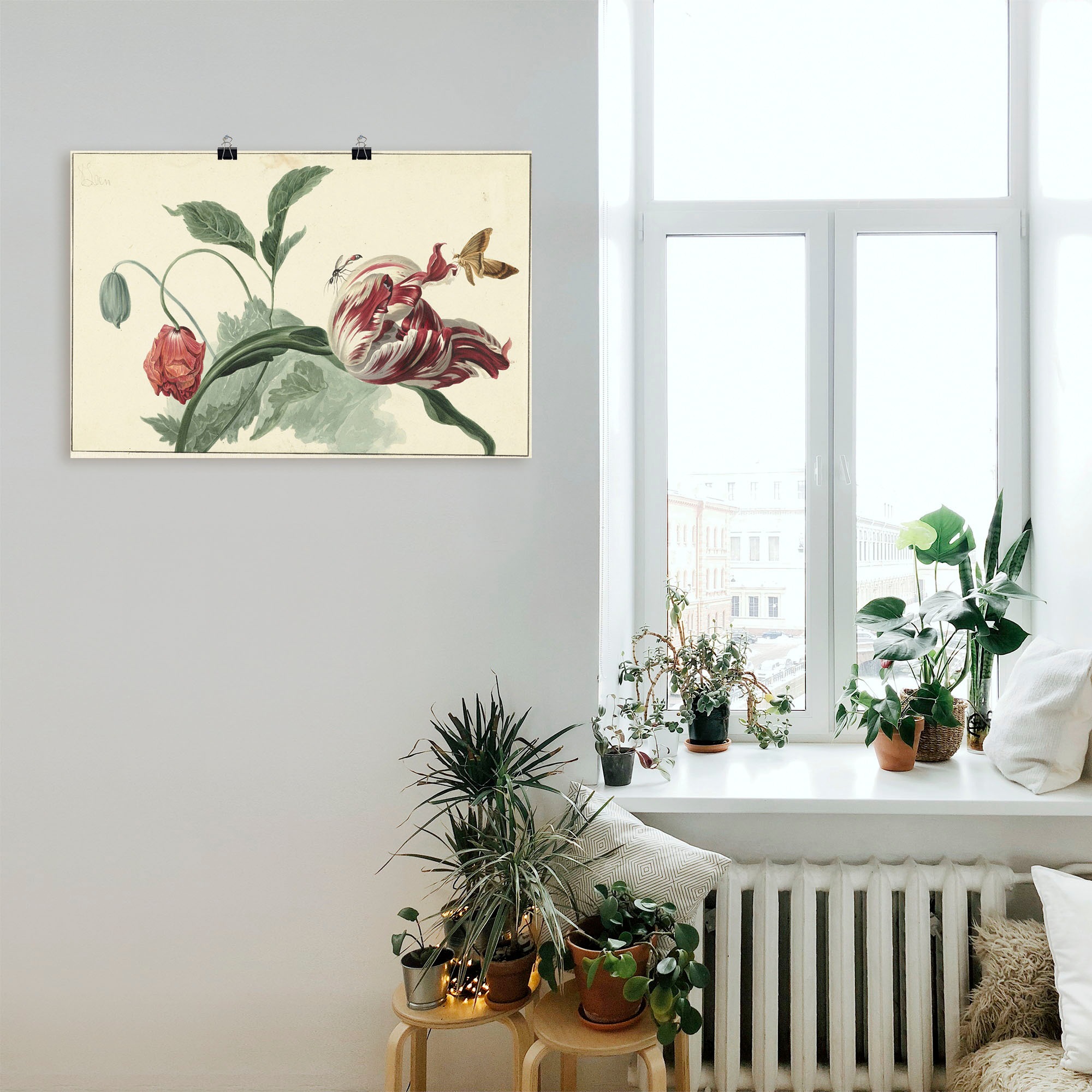 Artland Wandbild "Tulpe und Mohn.", Blumenbilder, (1 St.), als Alubild, Out günstig online kaufen