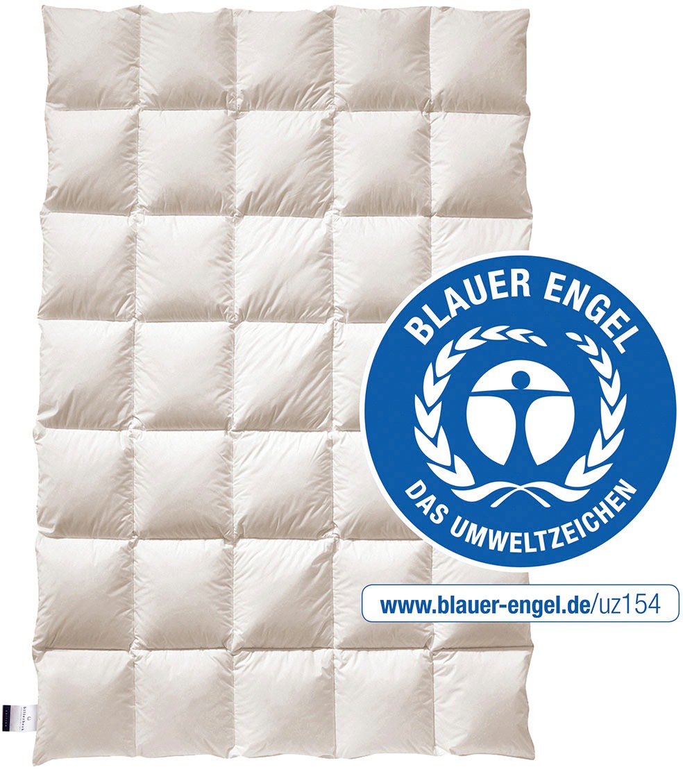 billerbeck Daunenbettdecke "E14 Greta, Bettdecke in 135x200 cm, 155x220 cm, günstig online kaufen