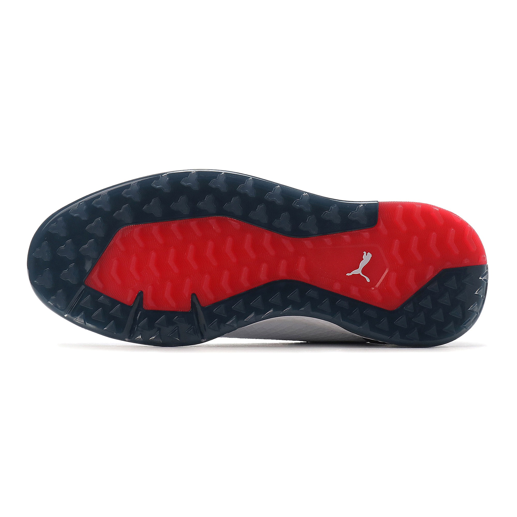 PUMA Golfschuh »PROADAPT ALPHACAT DISC Golfschuhe Herren«