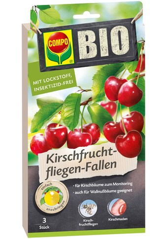 Compo Insektenfalle » BIO Kirschfruchtfliege...