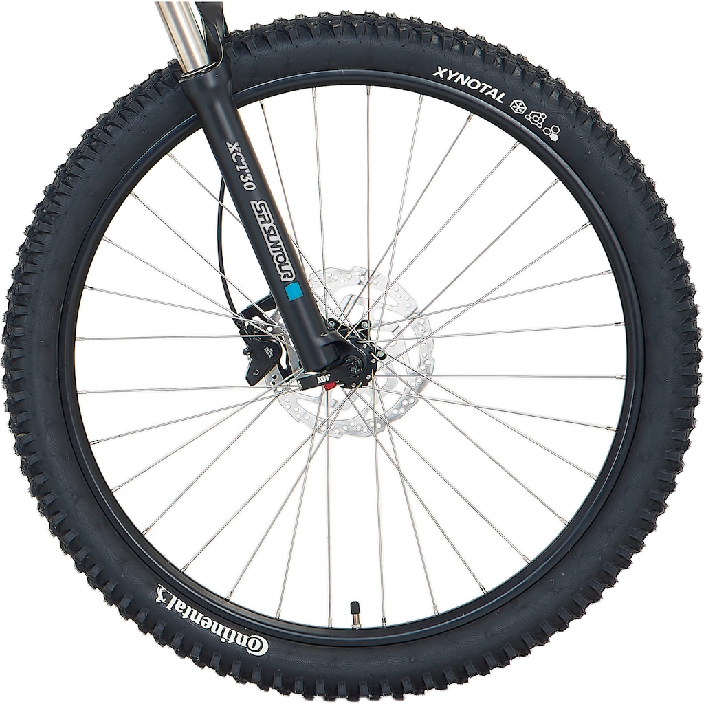 Prophete E-Bike »Prophete DICE 4.8«, 10 Gang, Shimano, Deore XT, Mittelmotor 250 W