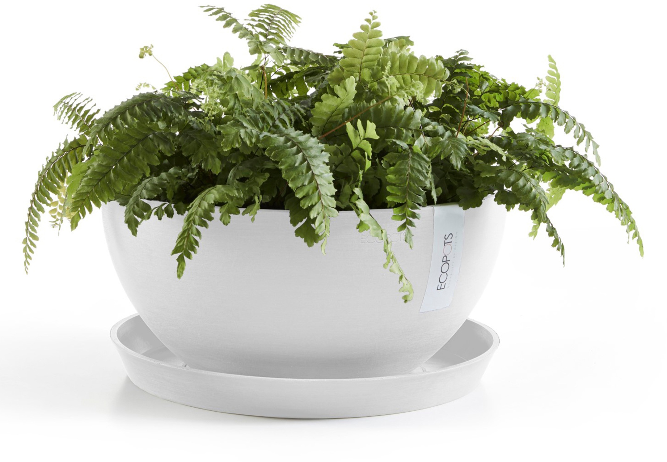 ECOPOTS Blumentopf »Brussels 35 Weiß«, für innen und außen: frostsicher, bruchsicher und lichtbeständig