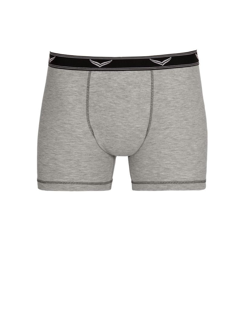Trigema Boxer »TRIGEMA Bequeme Pants mit Webgummibund«, (1 St.)