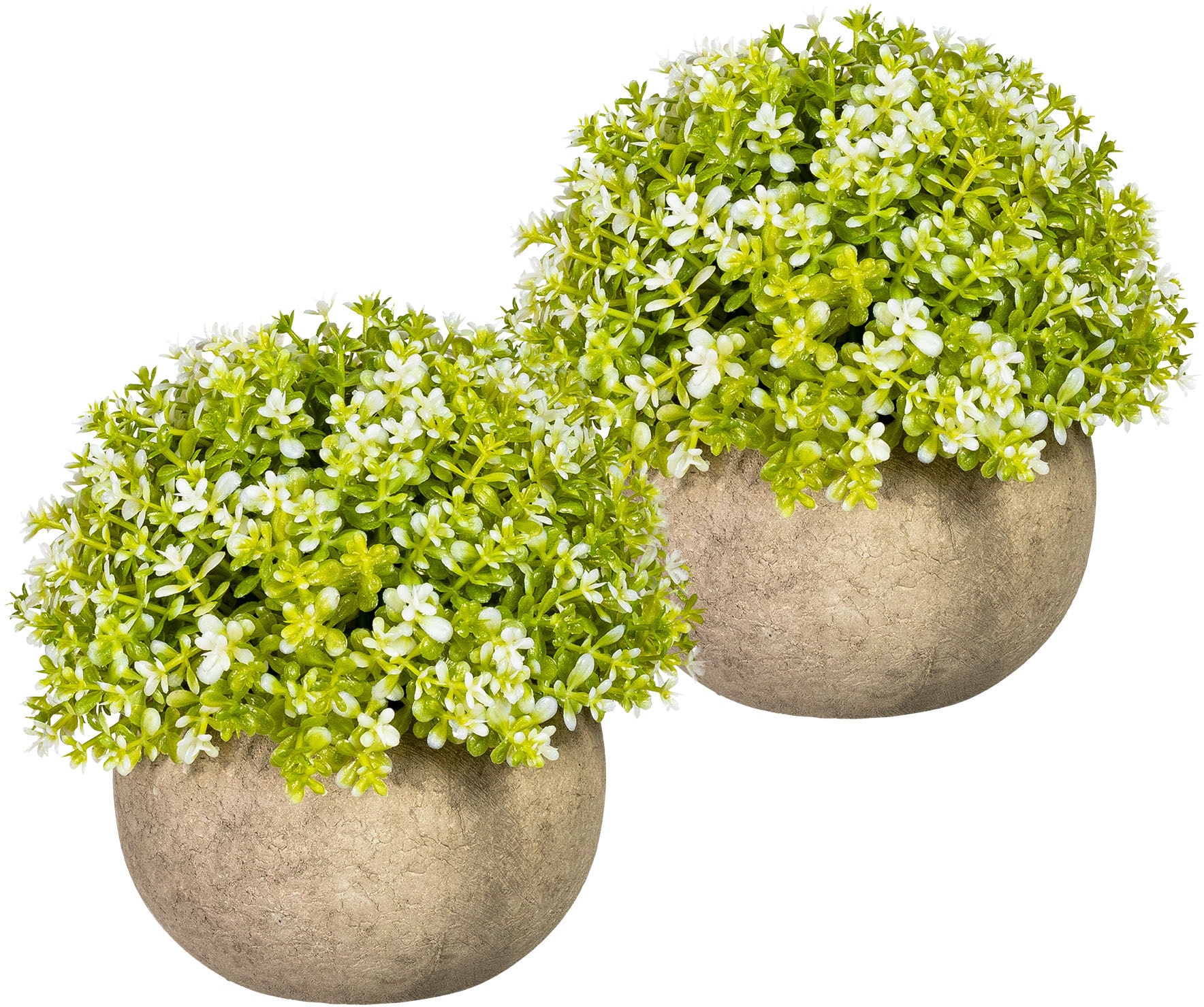 green Set, bestellen »Miniblattkugel«, Zimmerpflanze im Künstliche Creativ 2er | Paperpot BAUR