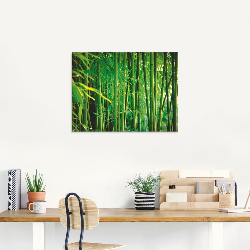Artland Glasbild »Bambus I«, Gräser, (1 St.)
