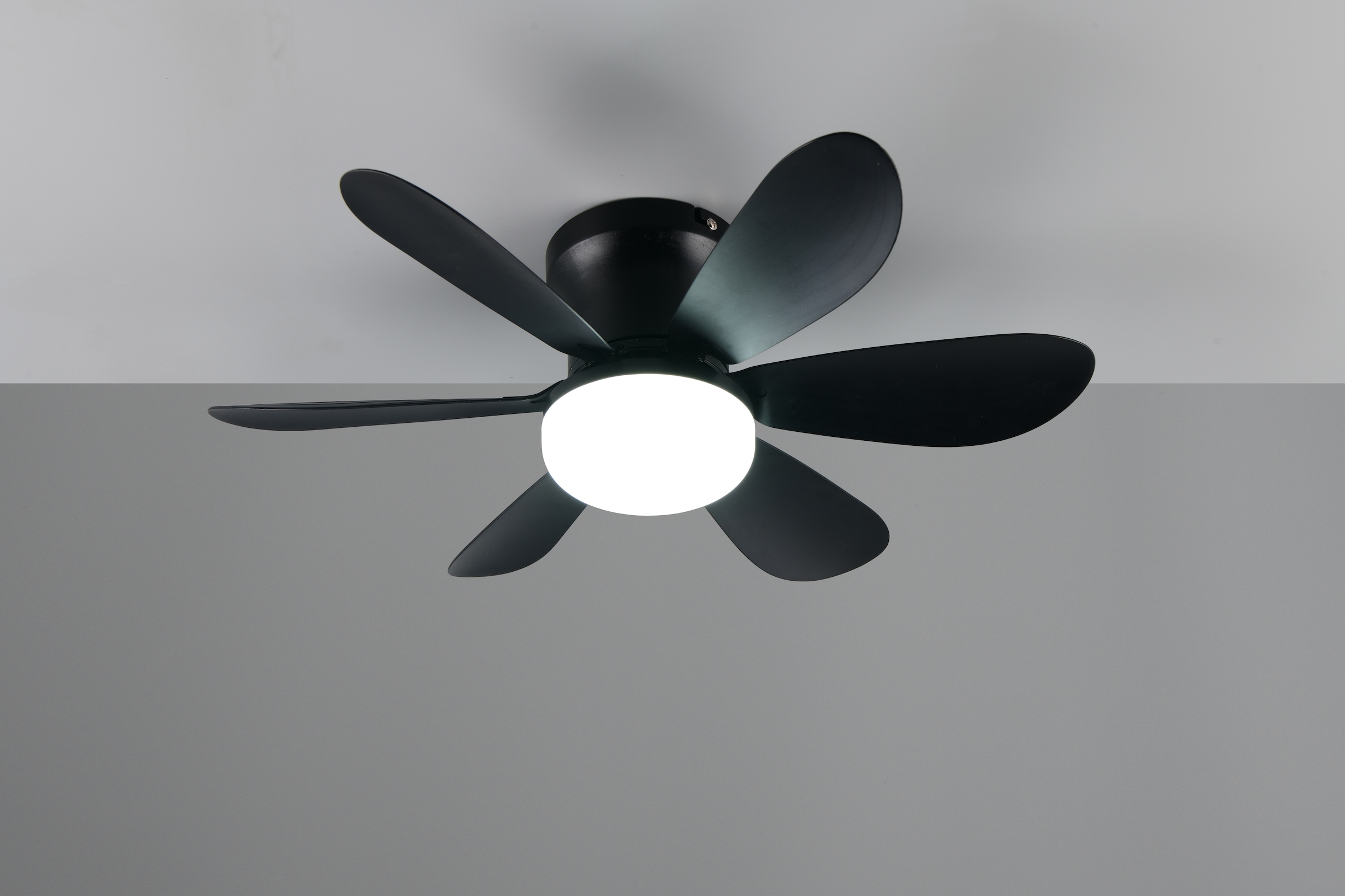 REALITY Leuchten LED Deckenleuchte »LUND mit Ventilator, Deckenventilator mit Licht inkl Fernbedienung«, 1 flammig, Leuchtmittel LED-Board | LED fest integriert, 3 Geschwindigkeiten Timer Vor- & Rücklauf LED dimmbar CCT Nachtlicht