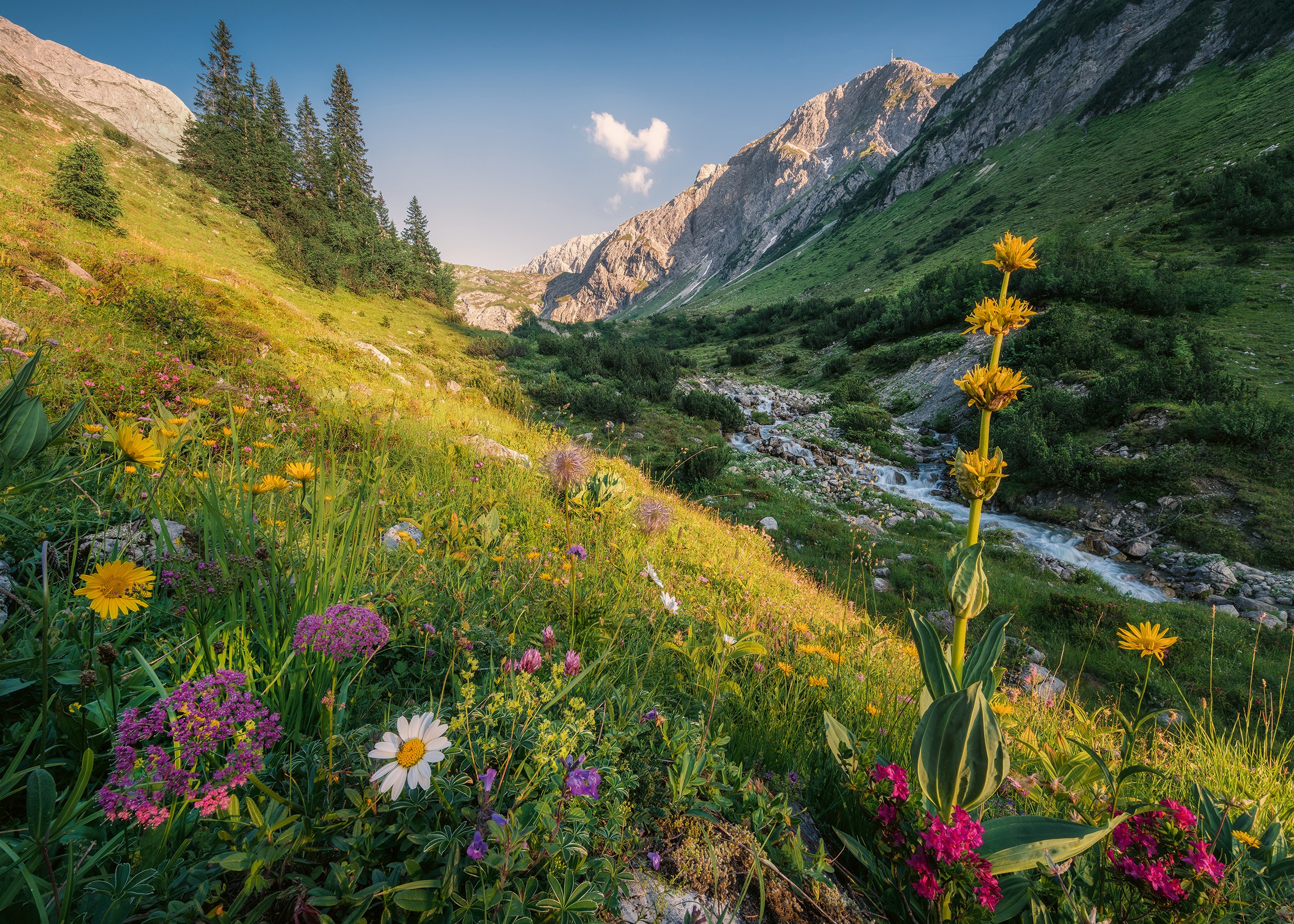 Ravensburger Puzzle »Im Garten Eden«, Made in Germany