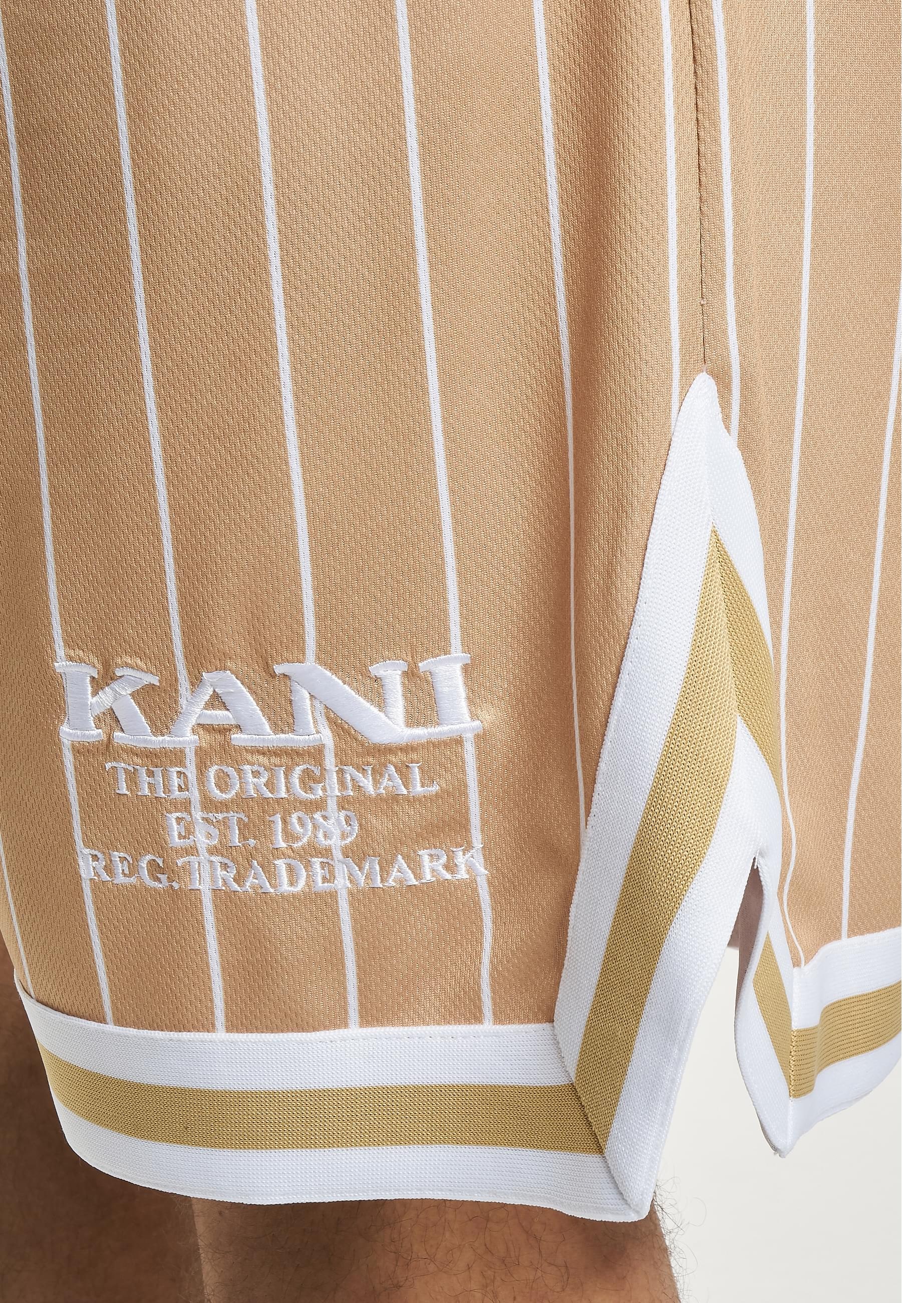 Karl Kani Shorts »Karl Kani Herren KM232-005-2 KK Retro Pinstripes Mesh Shorts«, (1 tlg.)