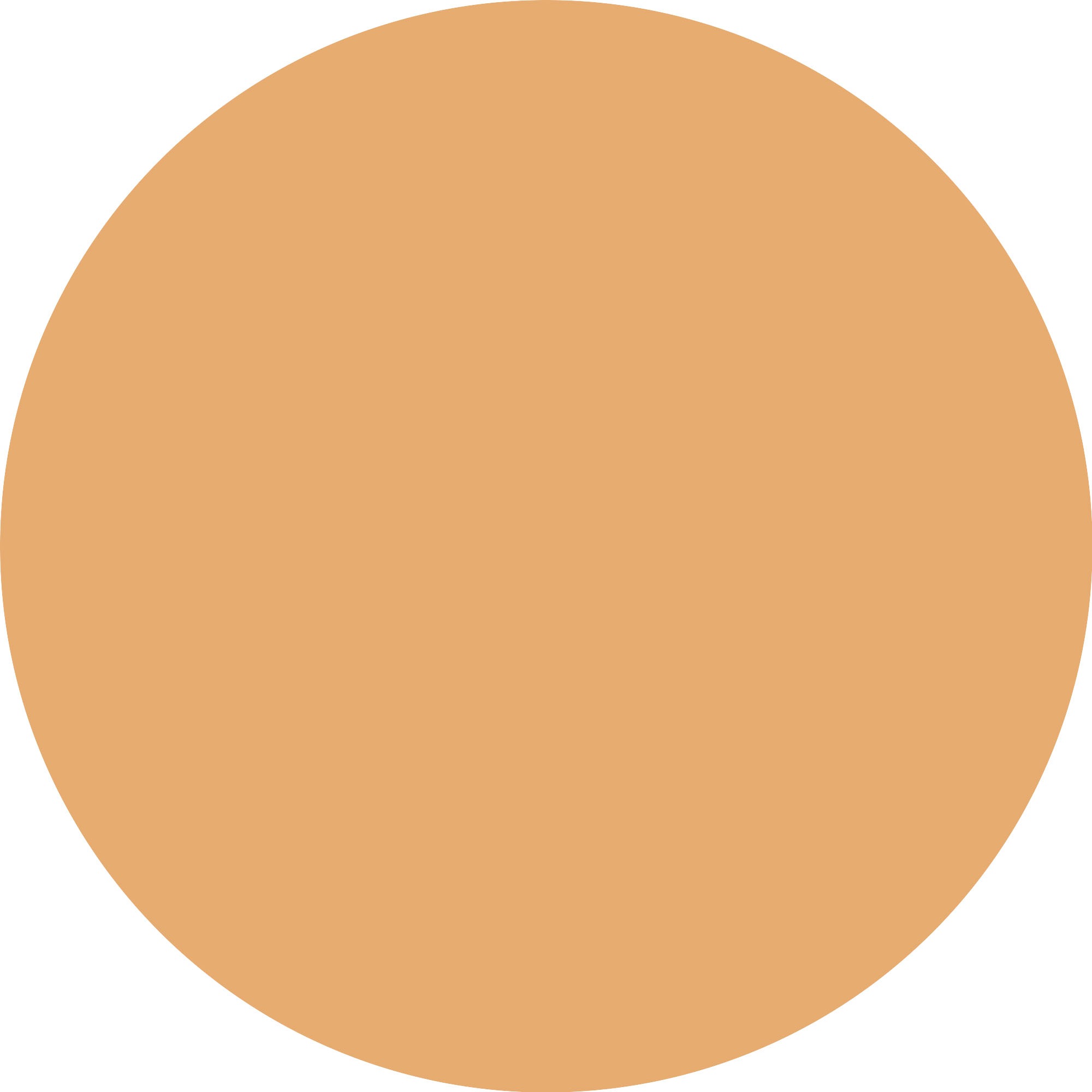 Essence Foundation »SKIN tint«, (3er Pack), mit veganen Inhaltsstoffen