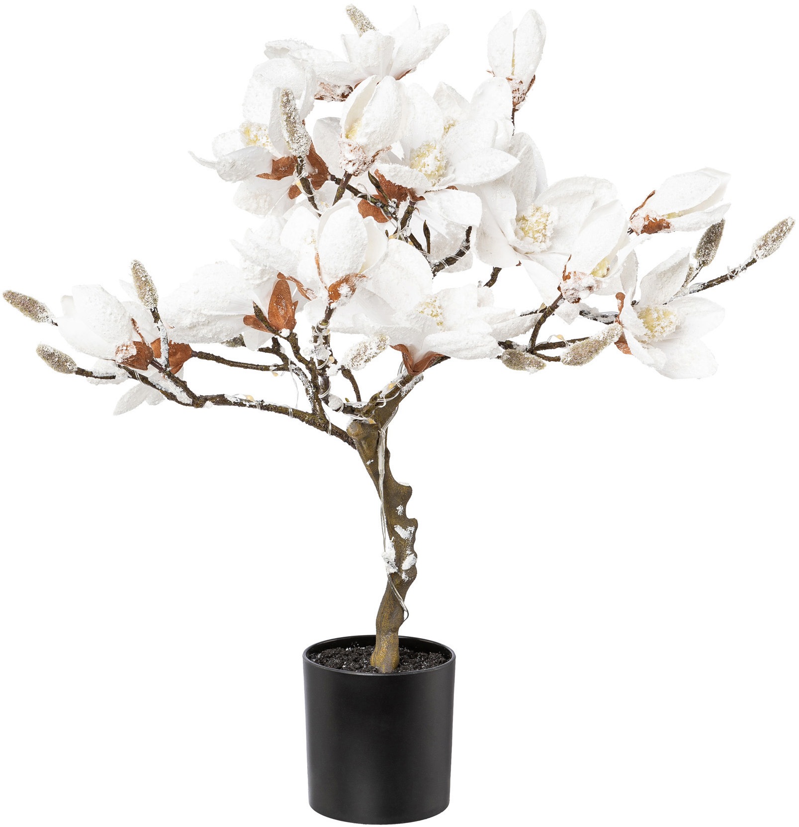 Creativ deco Kunstpflanze »Magnolie«, beschneit, Höhe ca. 58 cm, mit 20 LEDs