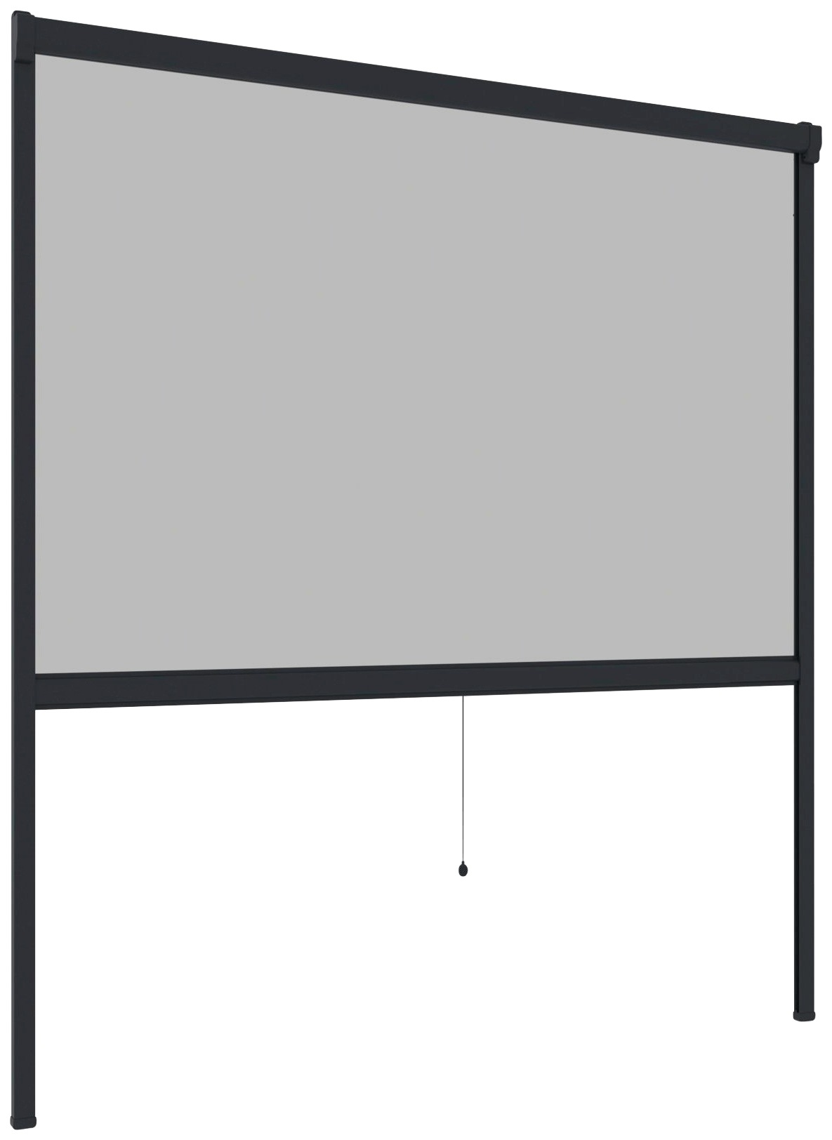 Windhager Insektenschutzrollo »PLUS«, transparent, BxH: 100x160 cm