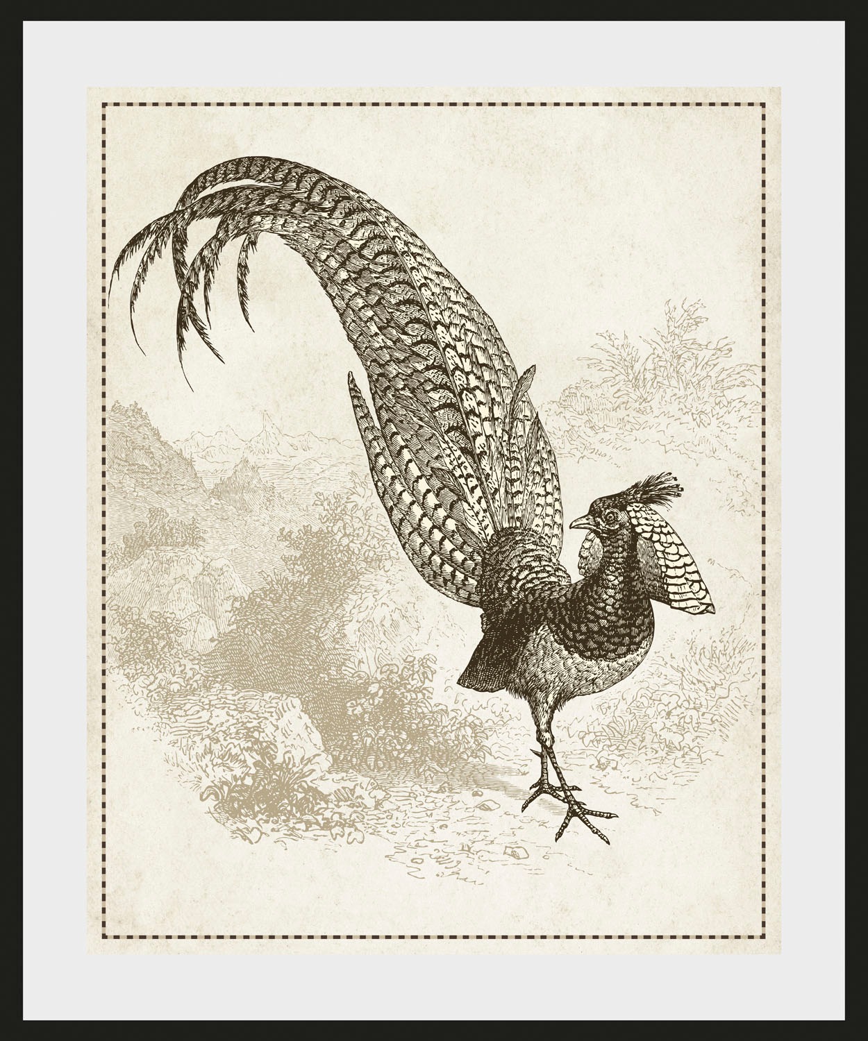 queence Bild »Lulu« Kunst | Vogelbilder | Vögel | historische Ereignisse 1 Stk. tlg. HD Premium Poster-Druck inkl. Holzrahmen