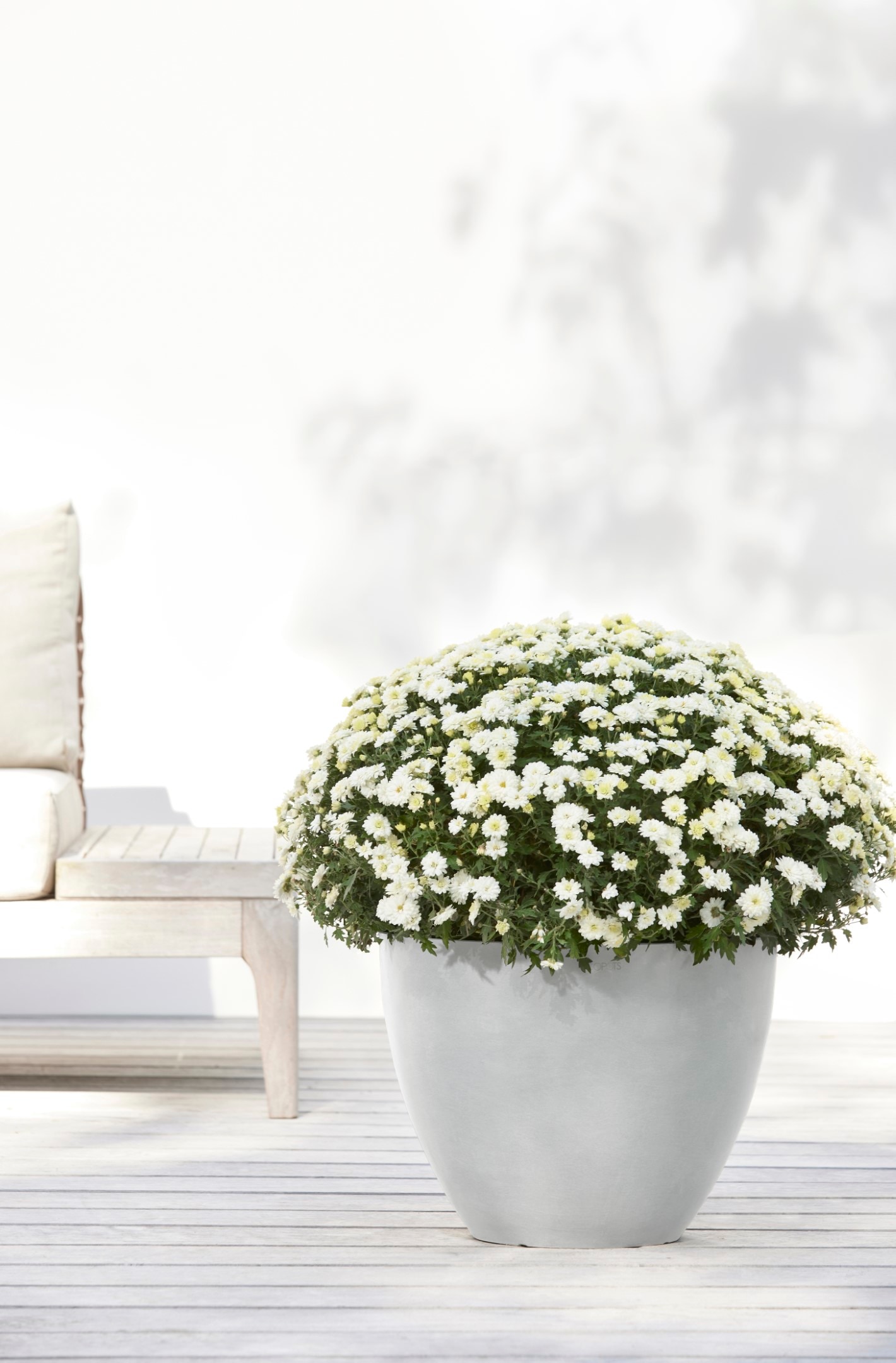 ECOPOTS Blumentopf »ANTWERP White Grey«, BxTxH: 40x40x30 cm kaufen | BAUR