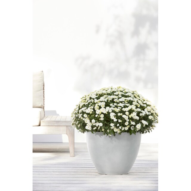 ECOPOTS Blumentopf »ANTWERP White Grey«, BxTxH: 40x40x30 cm kaufen | BAUR