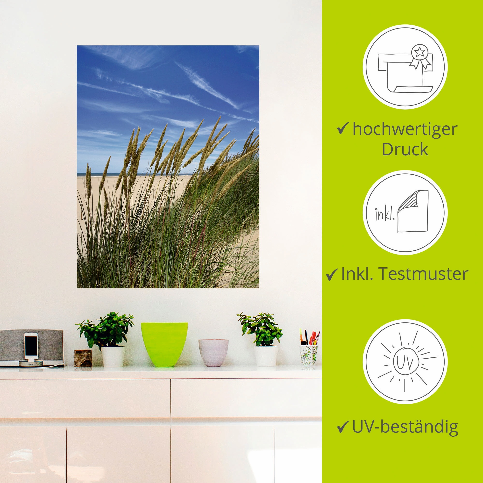 Artland Wandbild »Blühendes Strandgras«, Strand, (1 St.), als Leinwandbild, Wandaufkleber in verschied. Größen