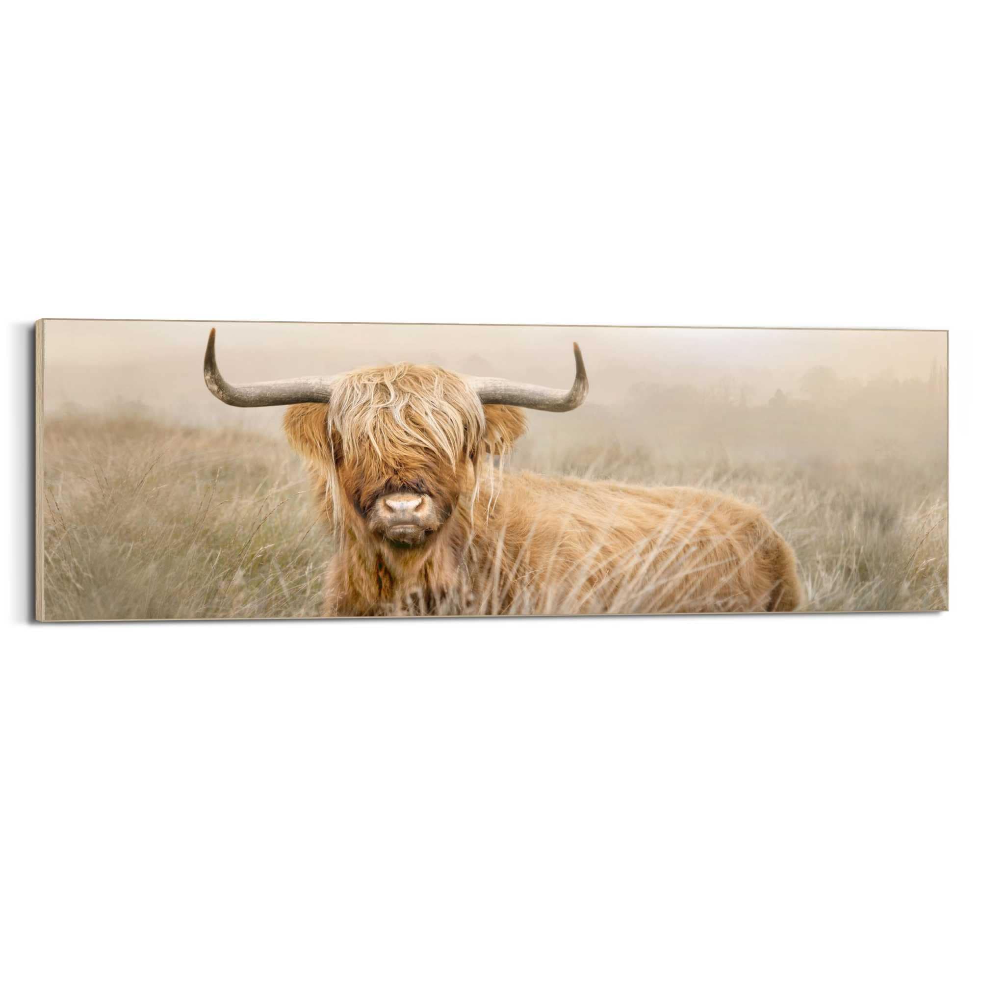 Reinders Wandbild "Highlander Nature" günstig online kaufen