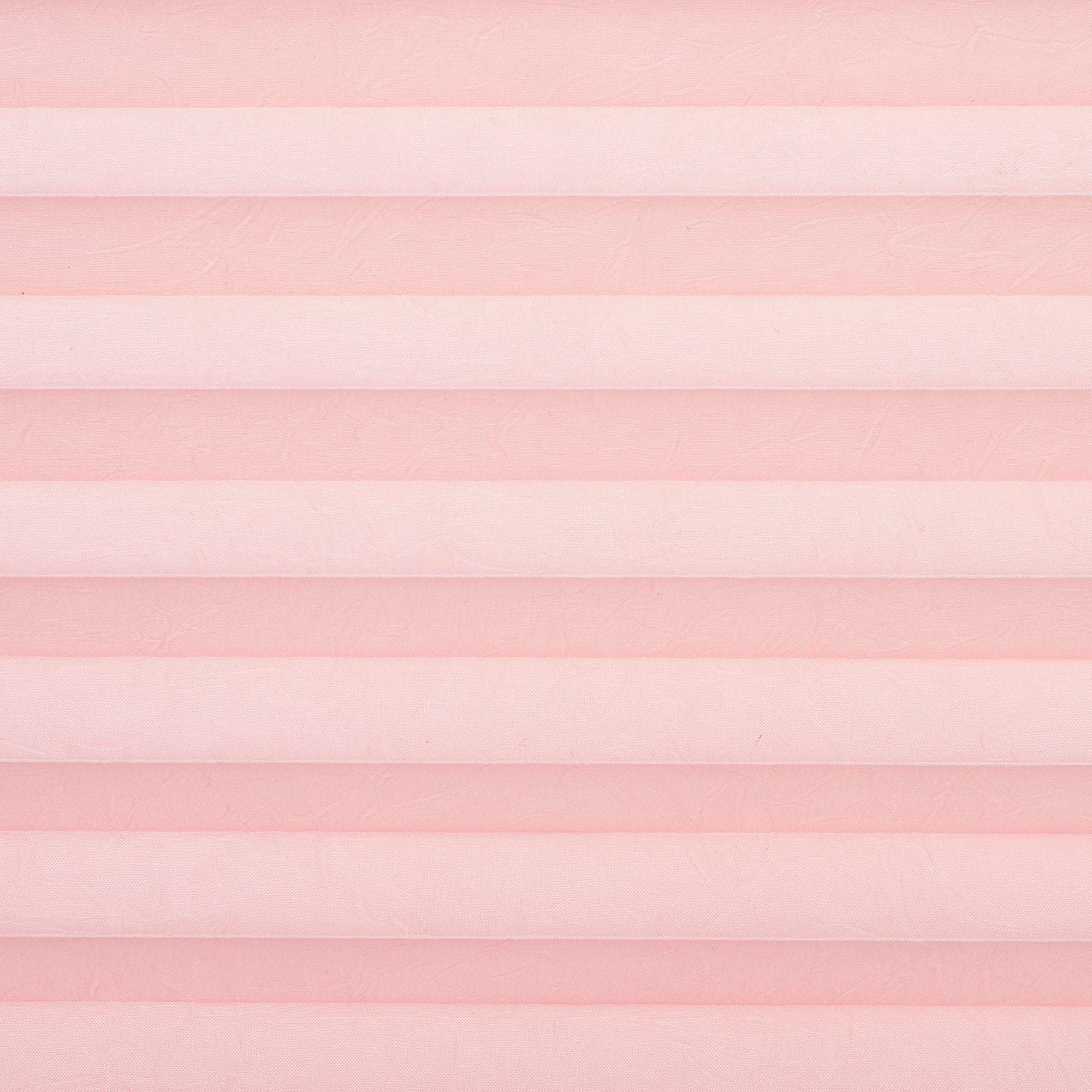 Liedeco Plissee "Pastell" Lichtschutz ohne Bohren verspannt Klemmfix-Plisse günstig online kaufen