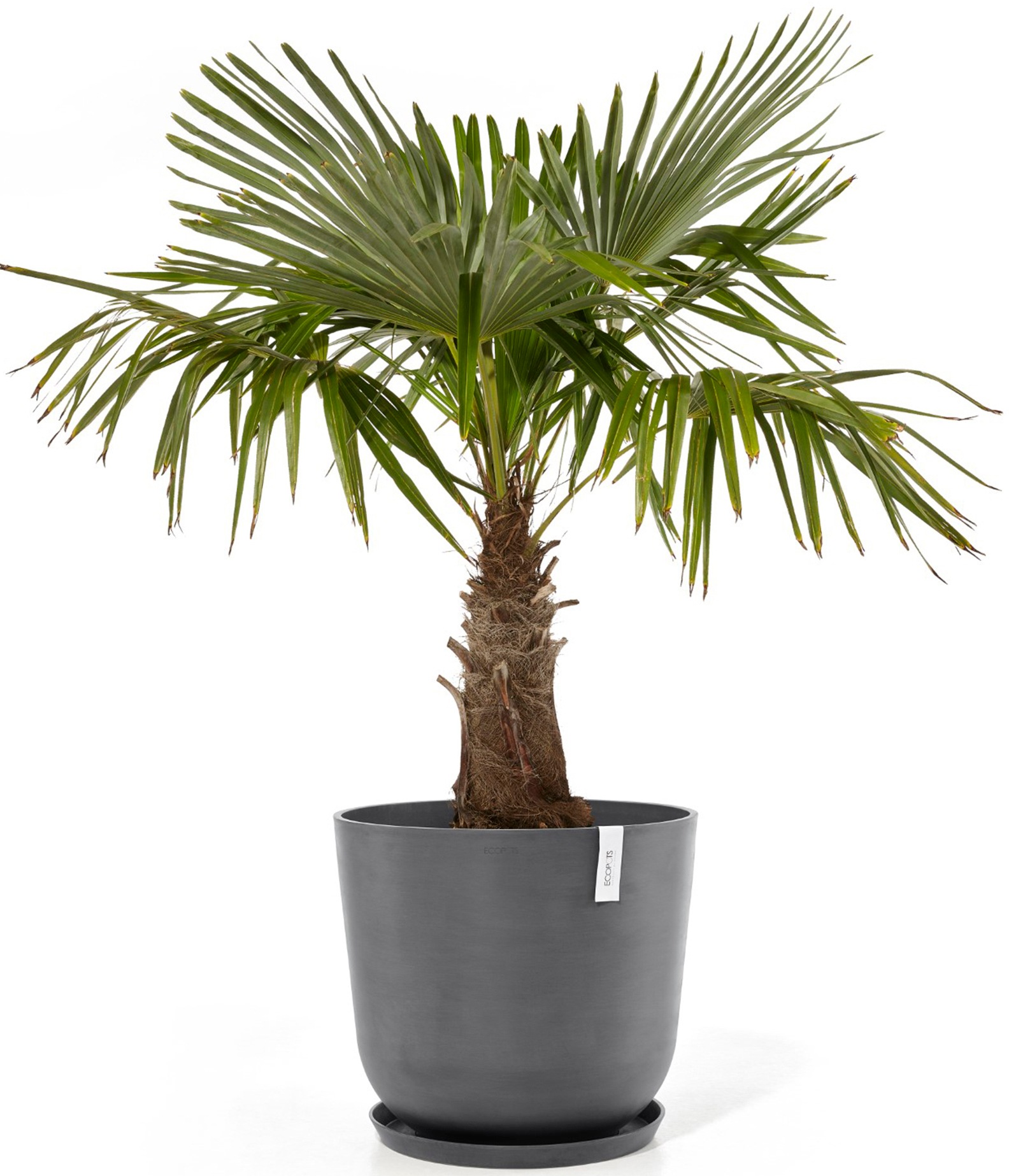 ECOPOTS Blumentopf »Oslo 55 + Wassersystem Grau«, für innen und außen: frostsicher, bruchsicher und lichtbeständig