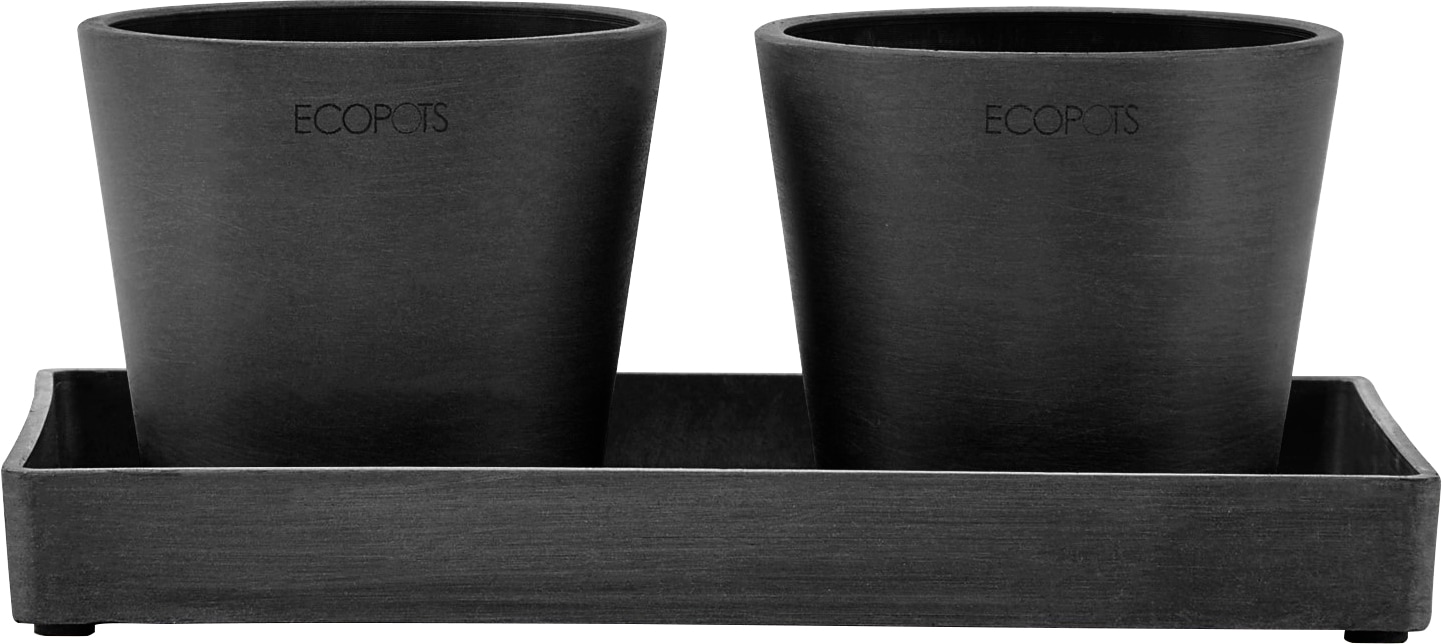 ECOPOTS Blumentopfuntersetzer "DISPLAY PLATTER", für Ecopots Amsterdam, BxTxH: 15x15x2,5 cm