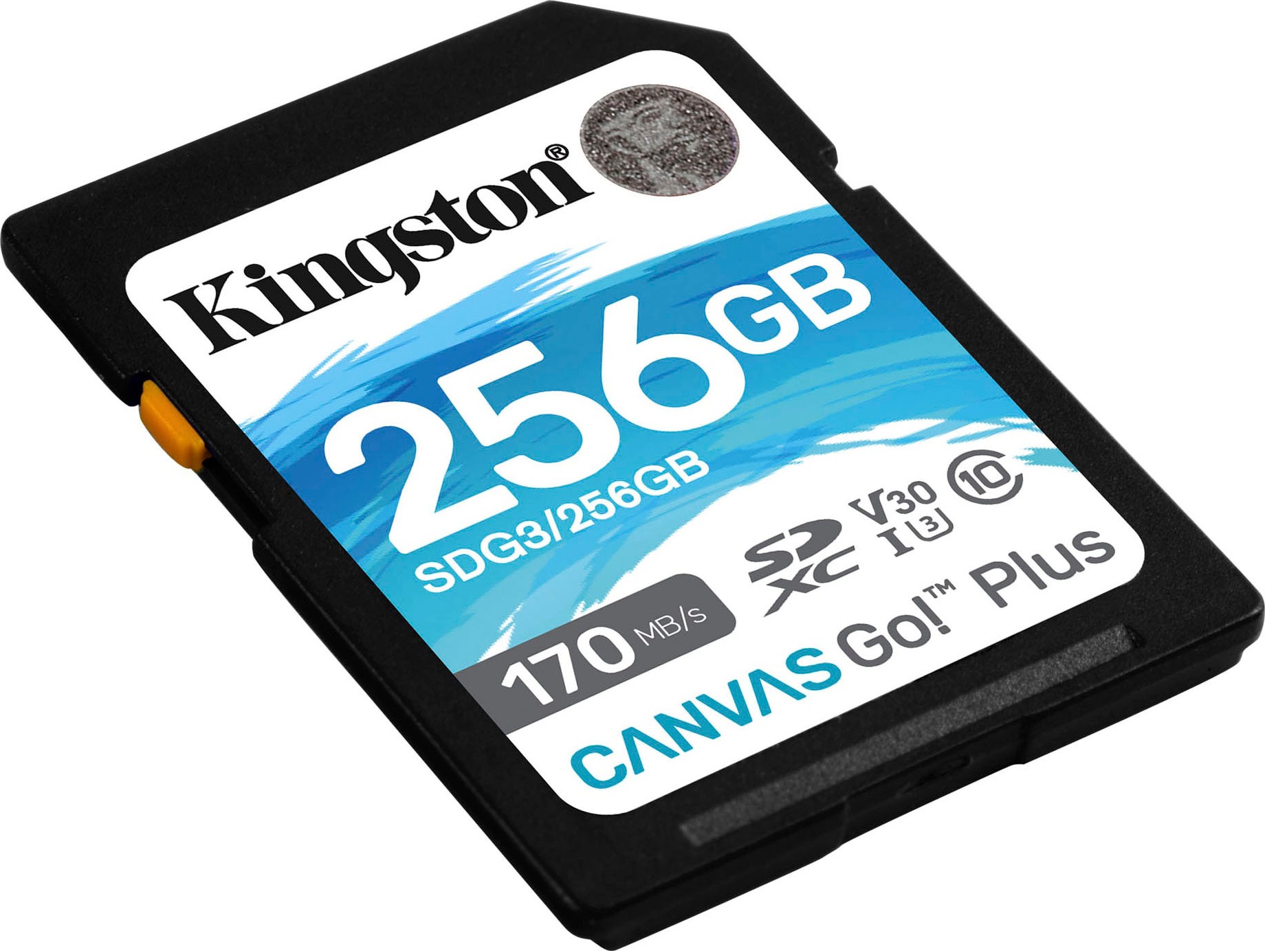 Kingston Speicherkarte »Canvas Go Plus SD 256GB«, (Video Speed Class 30 (V30)/UHS Speed Class 3 (U3) 170 MB/s Lesegeschwindigkeit)