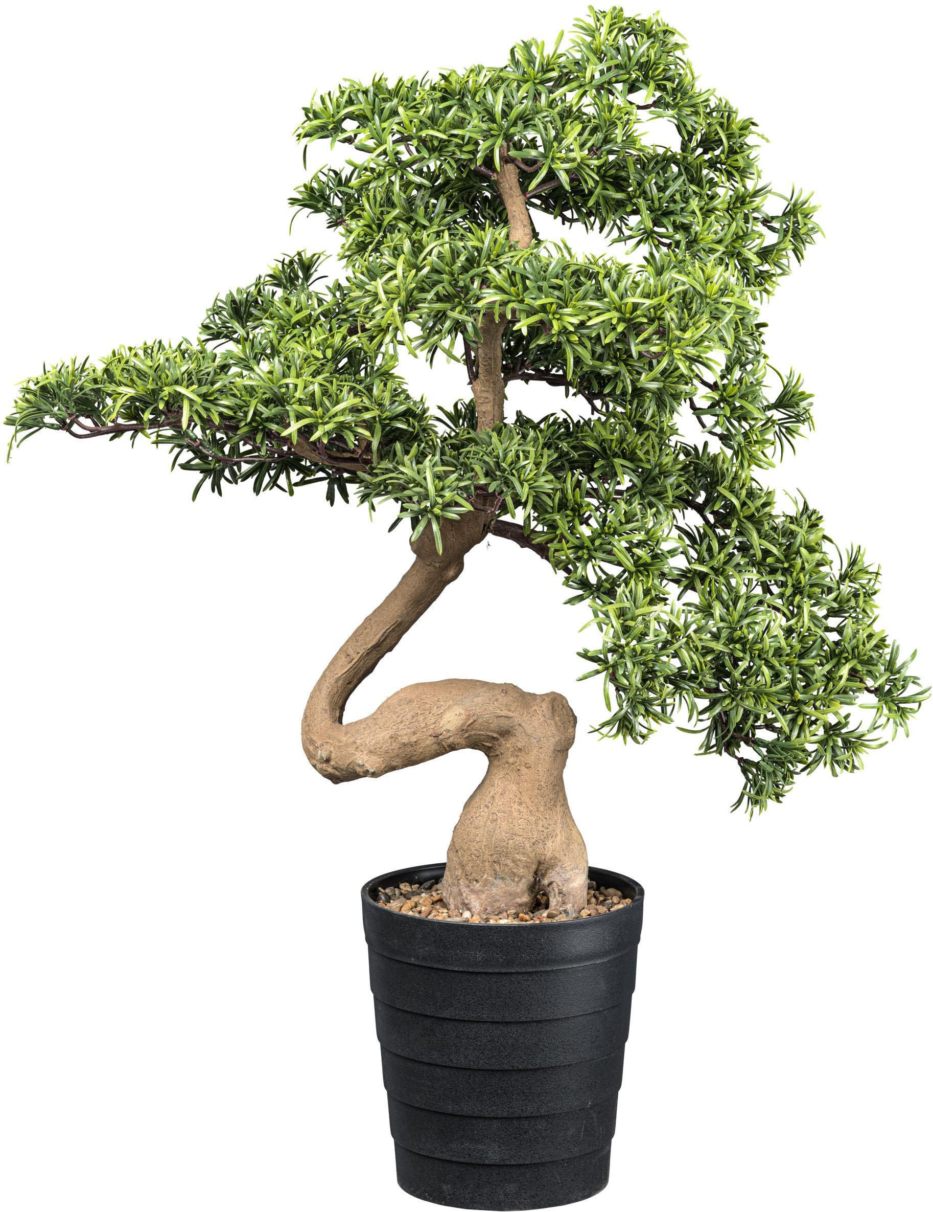 Creativ green Kunstbonsai »Bonsai Steineibe«, in toller Größe