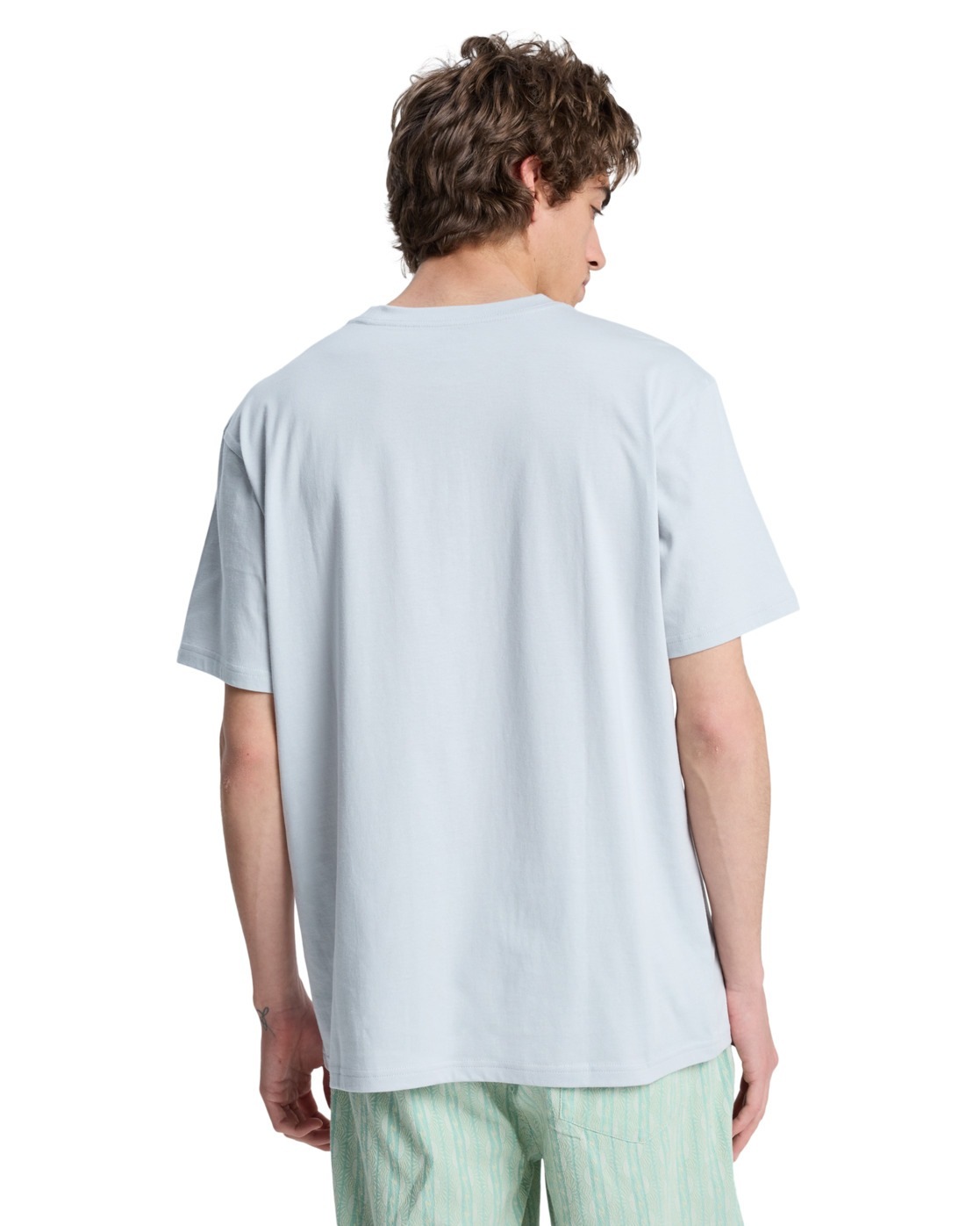 Quiksilver T-Shirt "EV Wild Worlds" günstig online kaufen